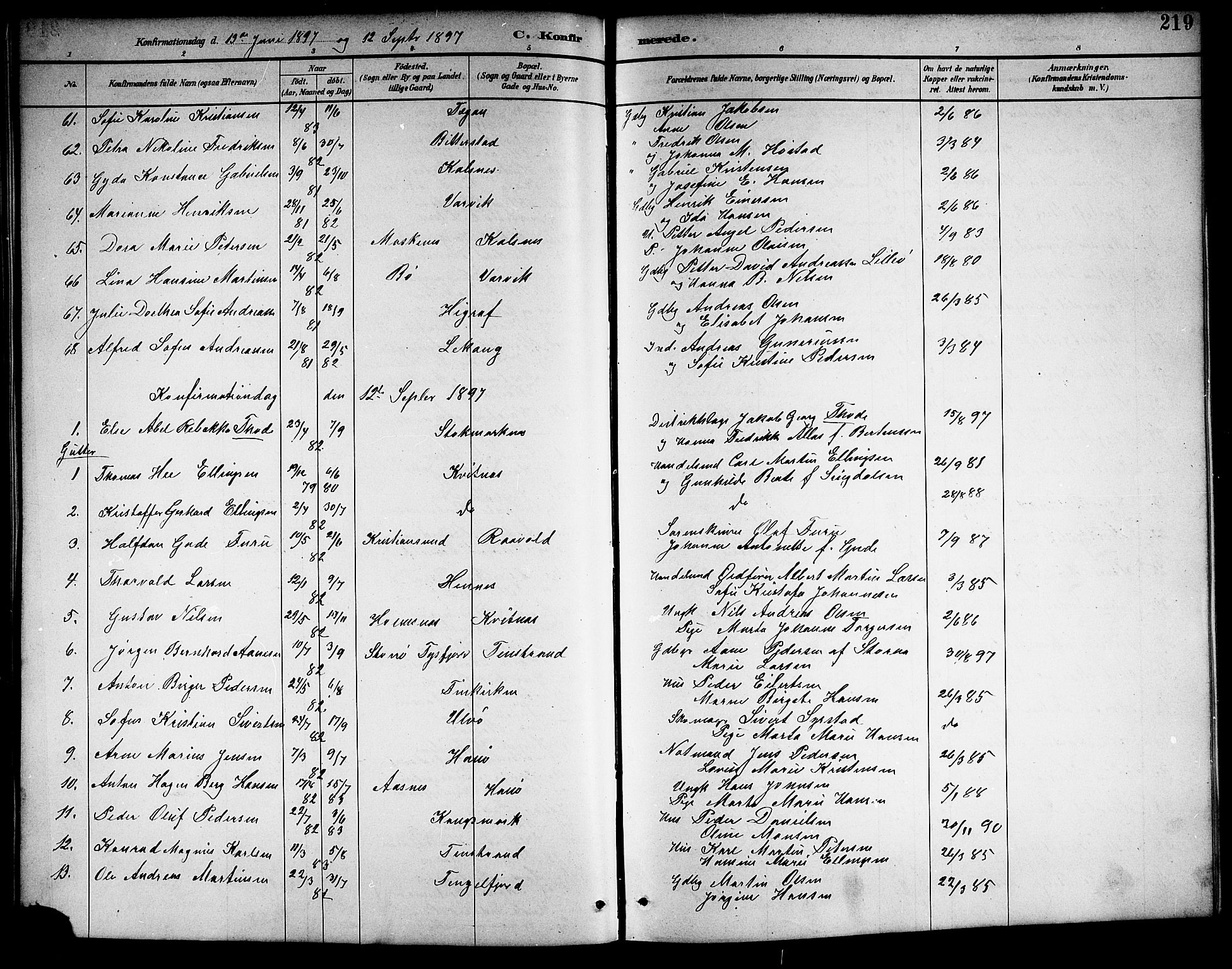 Ministerialprotokoller, klokkerbøker og fødselsregistre - Nordland, AV/SAT-A-1459/888/L1268: Parish register (copy) no. 888C06, 1891-1908, p. 219