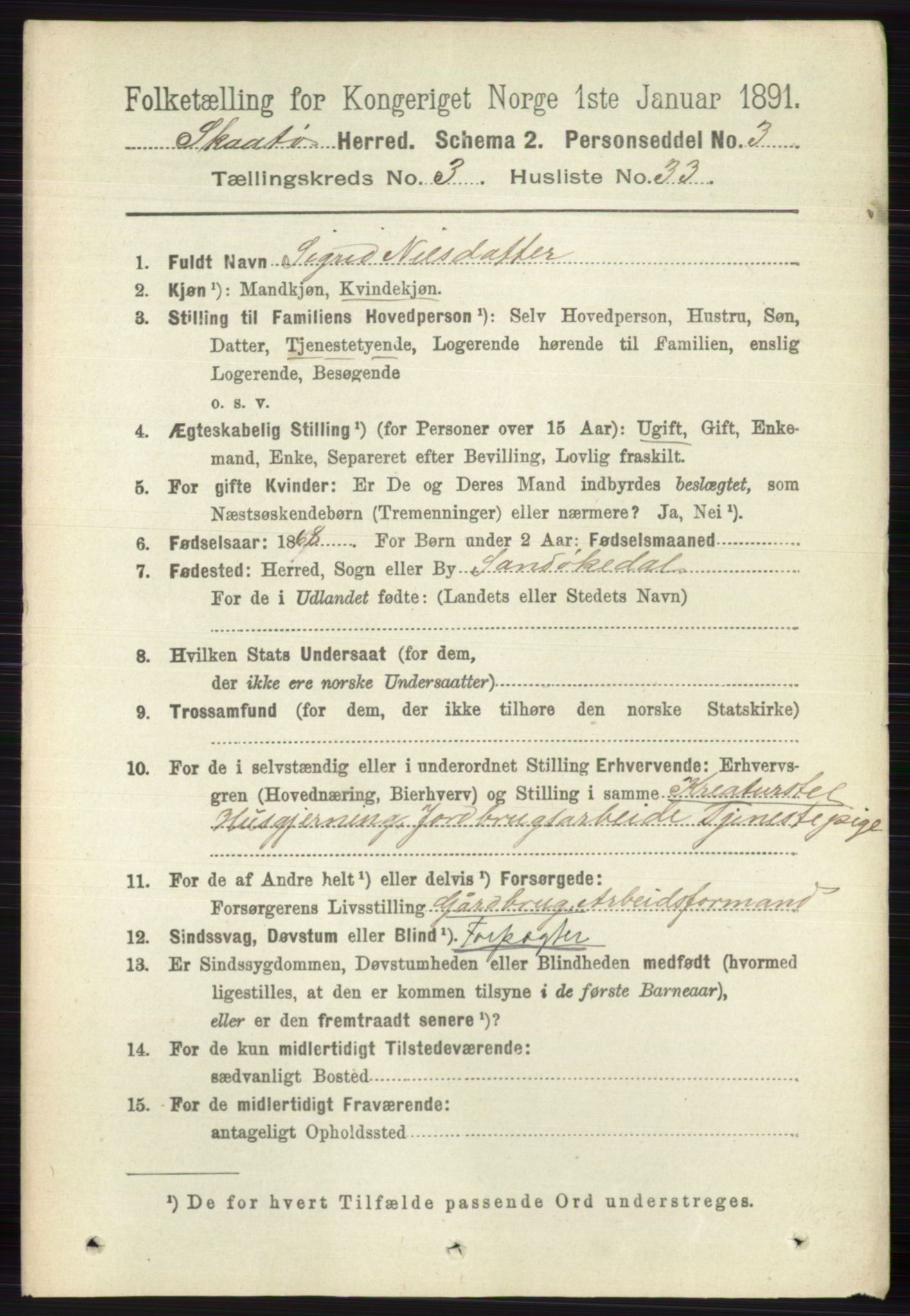 RA, 1891 census for 0815 Skåtøy, 1891, p. 662