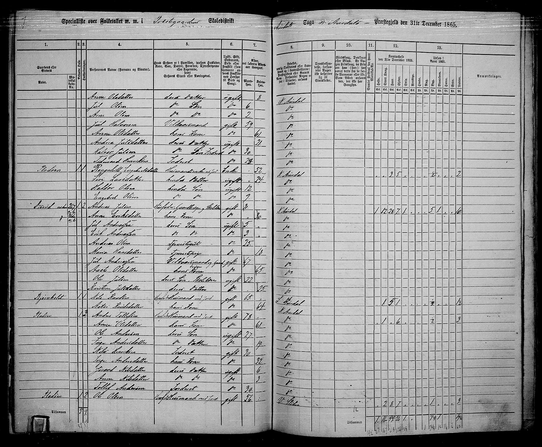 RA, 1865 census for Nord-Aurdal, 1865, p. 170