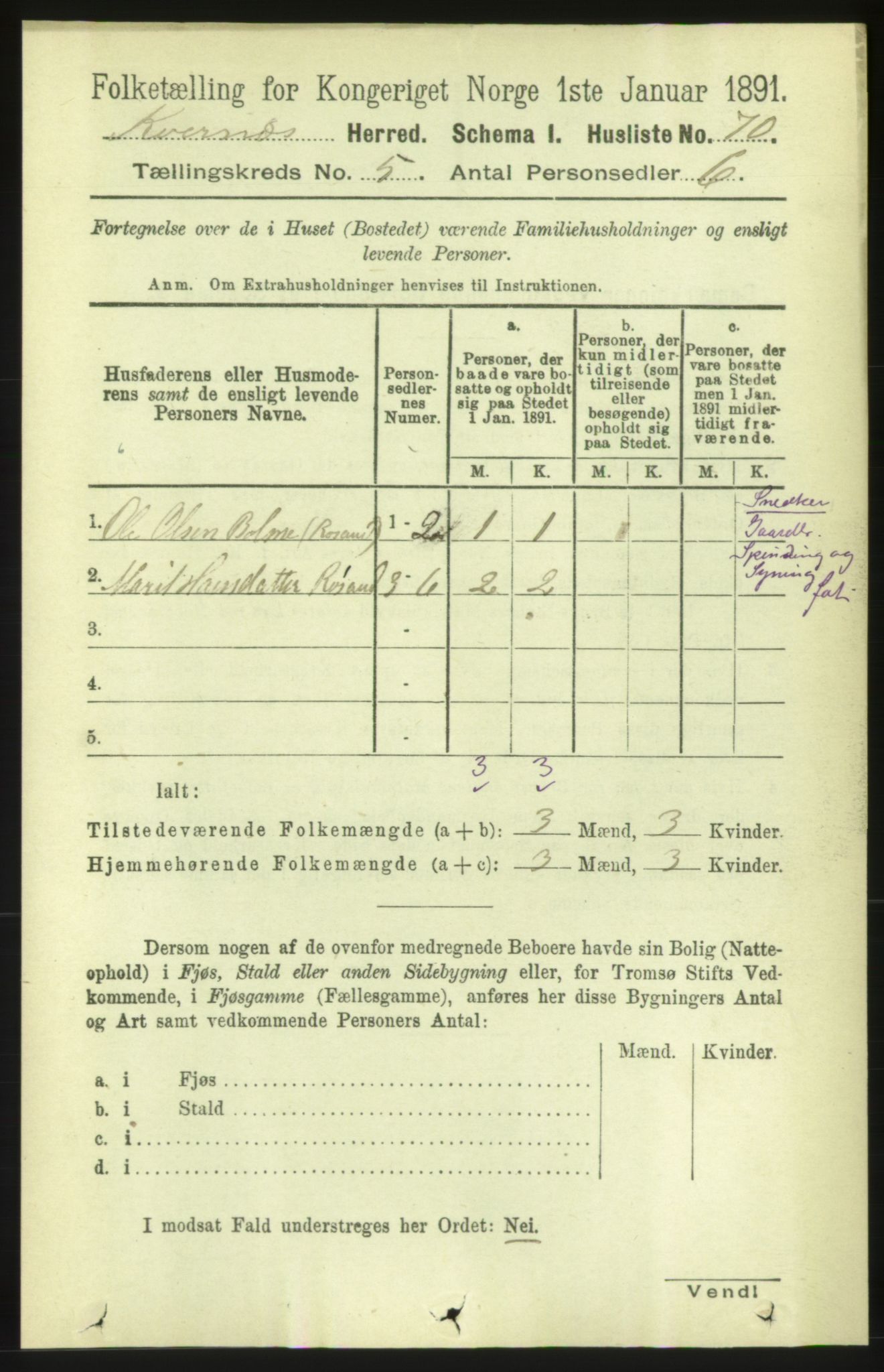 RA, 1891 census for 1553 Kvernes, 1891, p. 2321