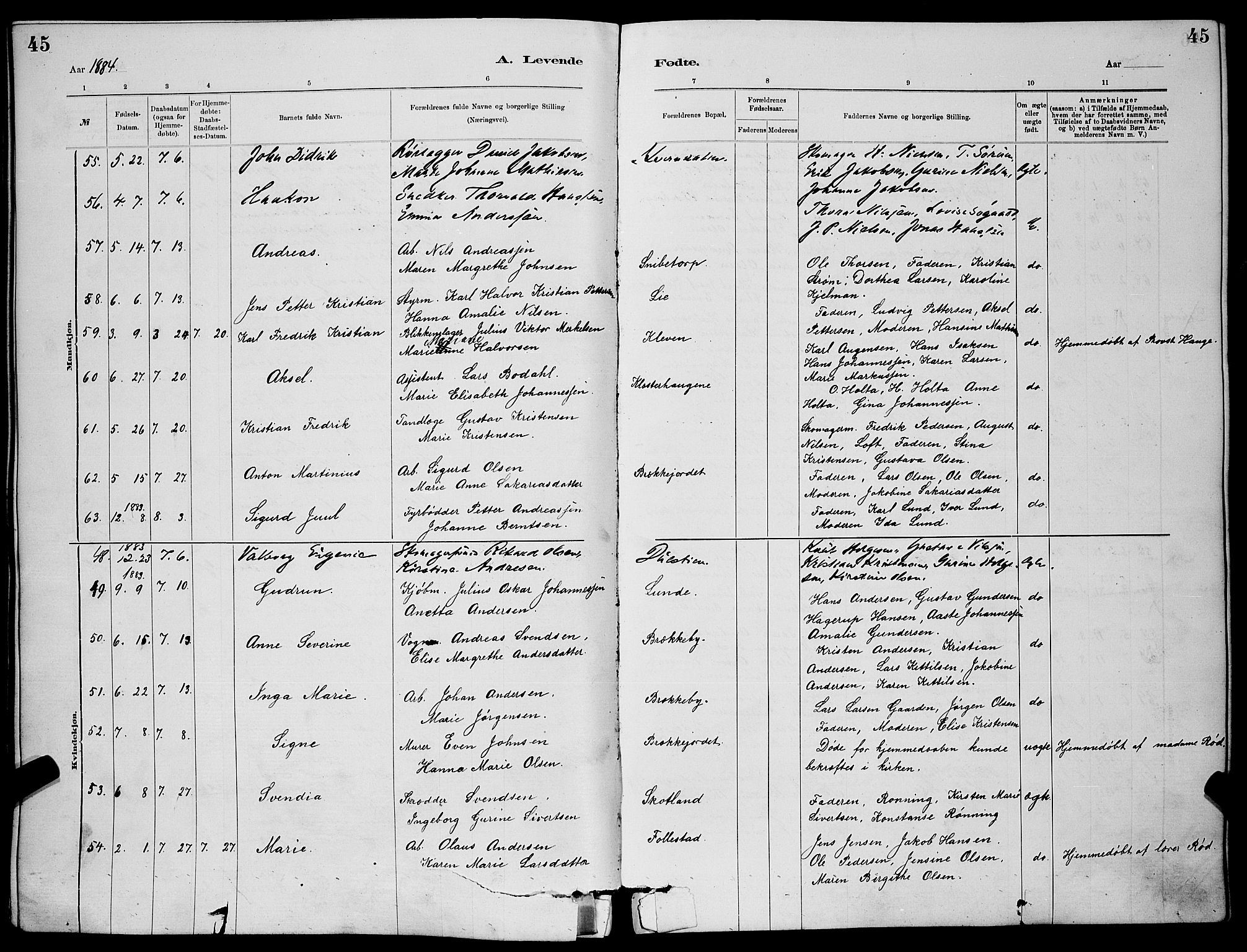 Skien kirkebøker, AV/SAKO-A-302/G/Ga/L0006: Parish register (copy) no. 6, 1881-1890, p. 45
