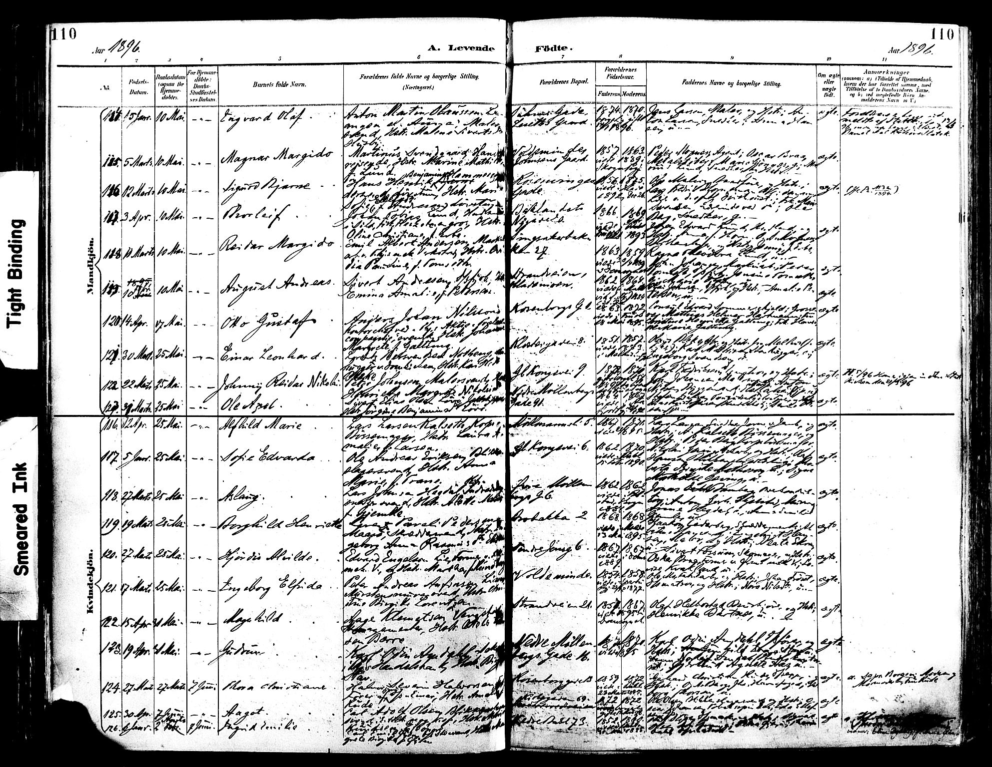 Ministerialprotokoller, klokkerbøker og fødselsregistre - Sør-Trøndelag, SAT/A-1456/604/L0197: Parish register (official) no. 604A18, 1893-1900, p. 110