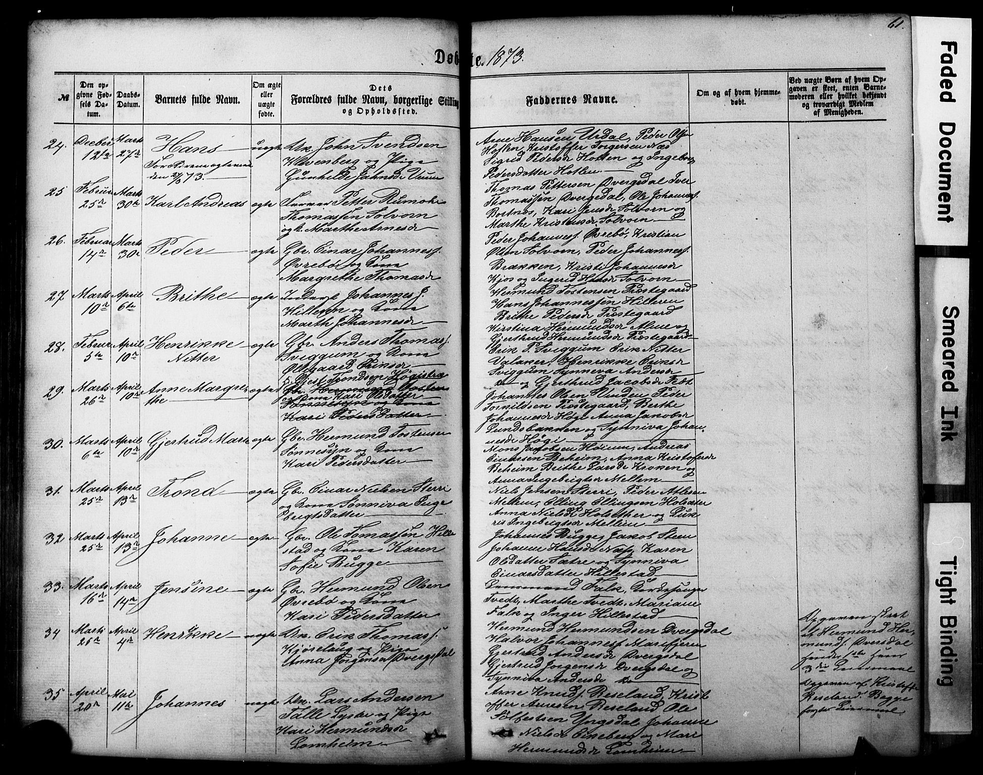 Hafslo sokneprestembete, AV/SAB-A-80301/H/Hab/Haba/L0001: Parish register (copy) no. A 1, 1866-1908, p. 61