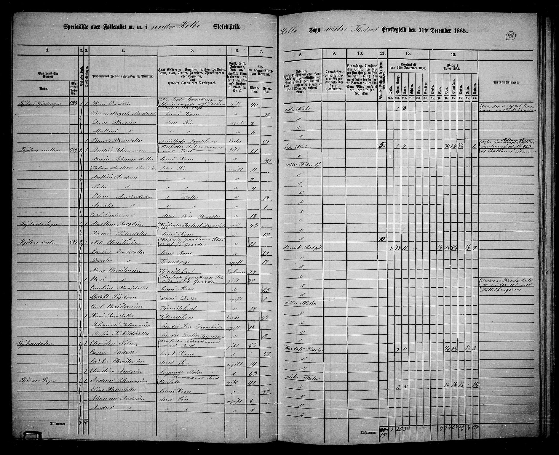 RA, 1865 census for Vestre Toten, 1865, p. 252