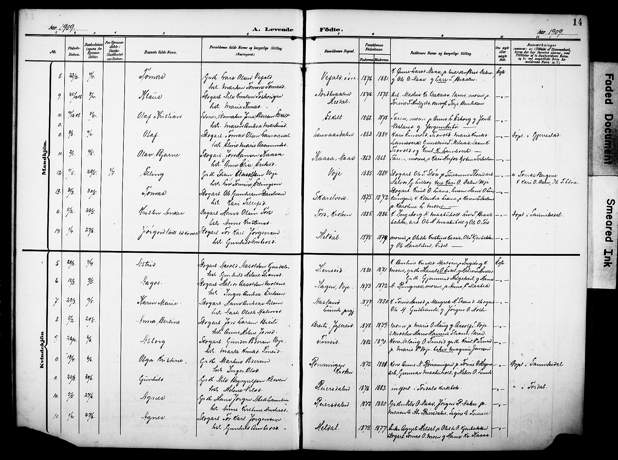Drangedal kirkebøker, SAKO/A-258/G/Ga/L0004: Parish register (copy) no. I 4, 1901-1933, p. 14