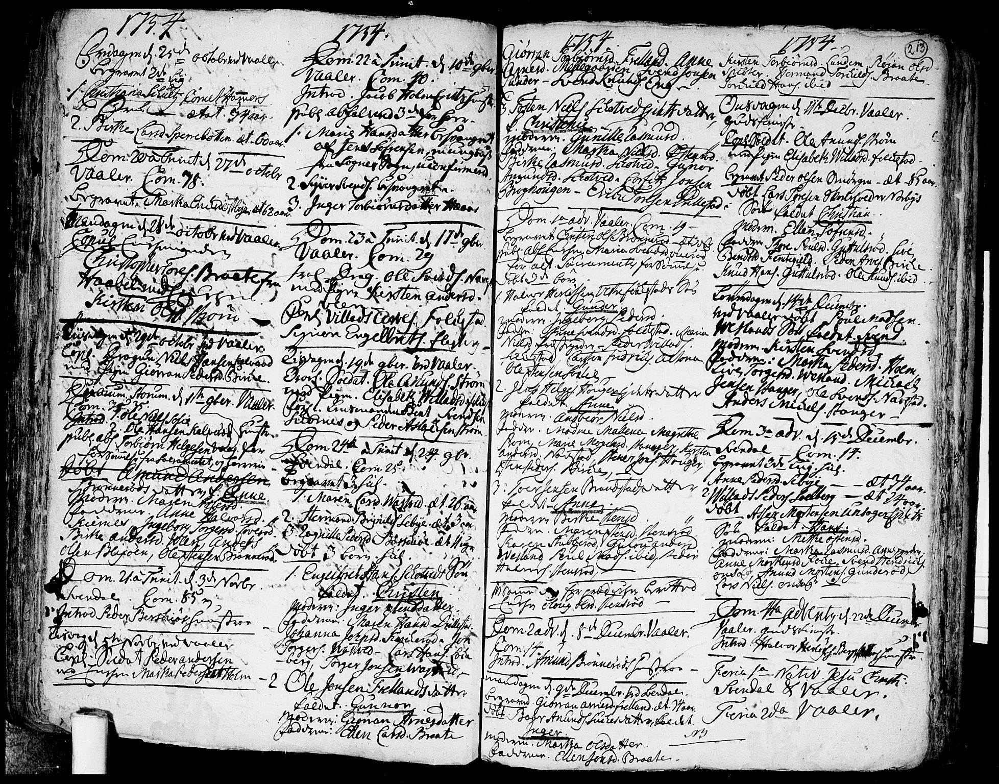 Våler prestekontor Kirkebøker, SAO/A-11083/F/Fa/L0003: Parish register (official) no. I 3, 1730-1770, p. 213