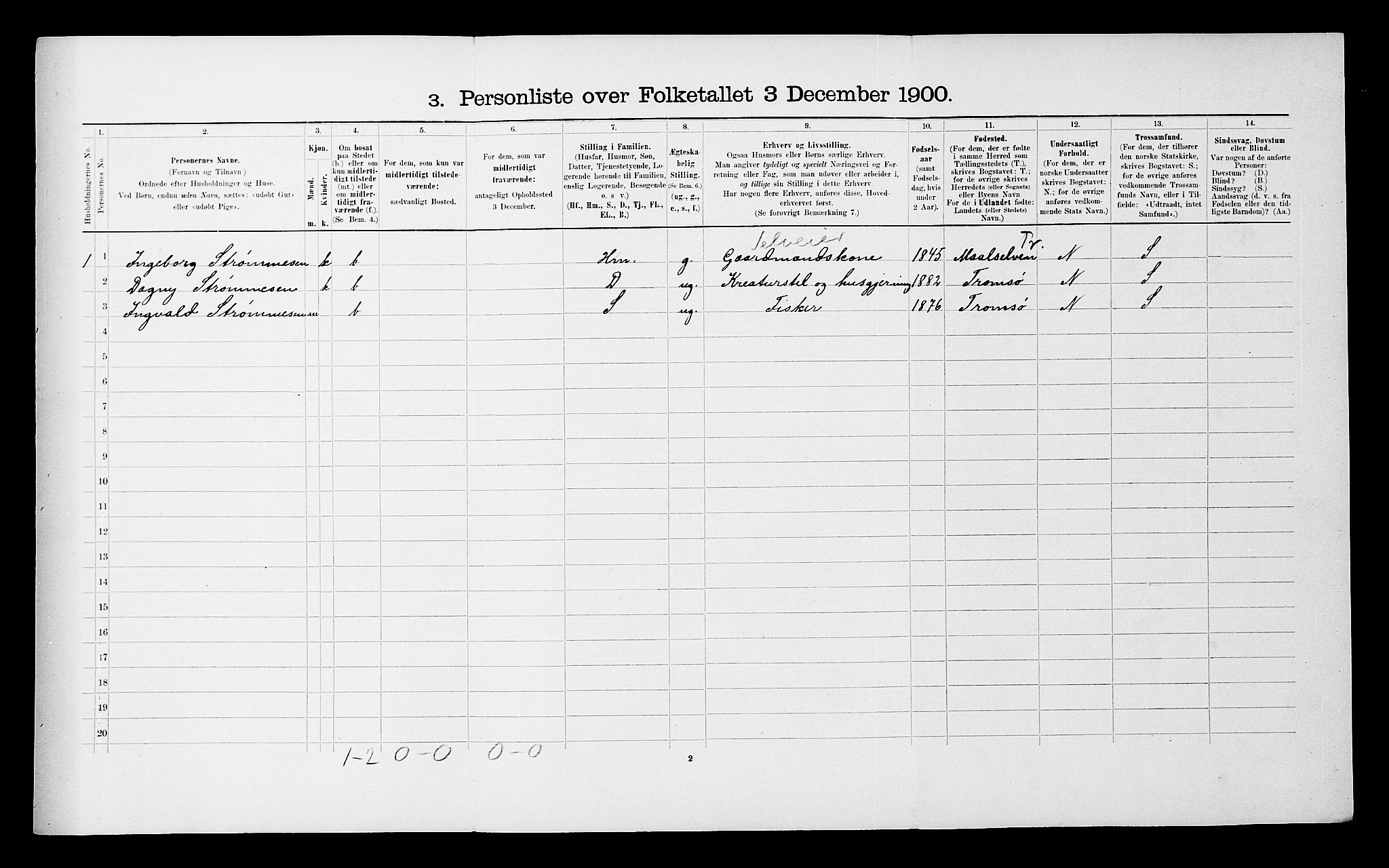 SATØ, 1900 census for Lenvik, 1900, p. 1299