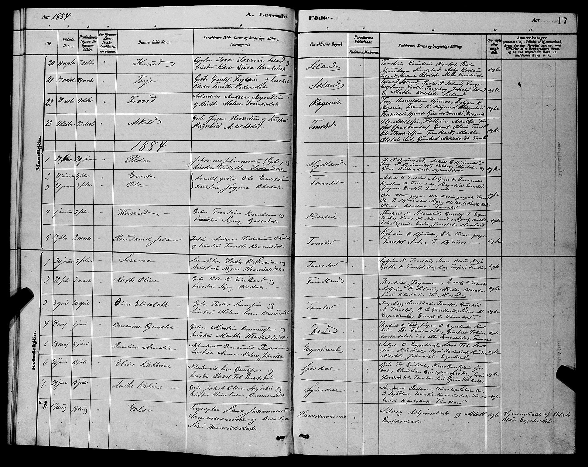 Sirdal sokneprestkontor, AV/SAK-1111-0036/F/Fb/Fbb/L0003: Parish register (copy) no. B 3, 1878-1894, p. 17