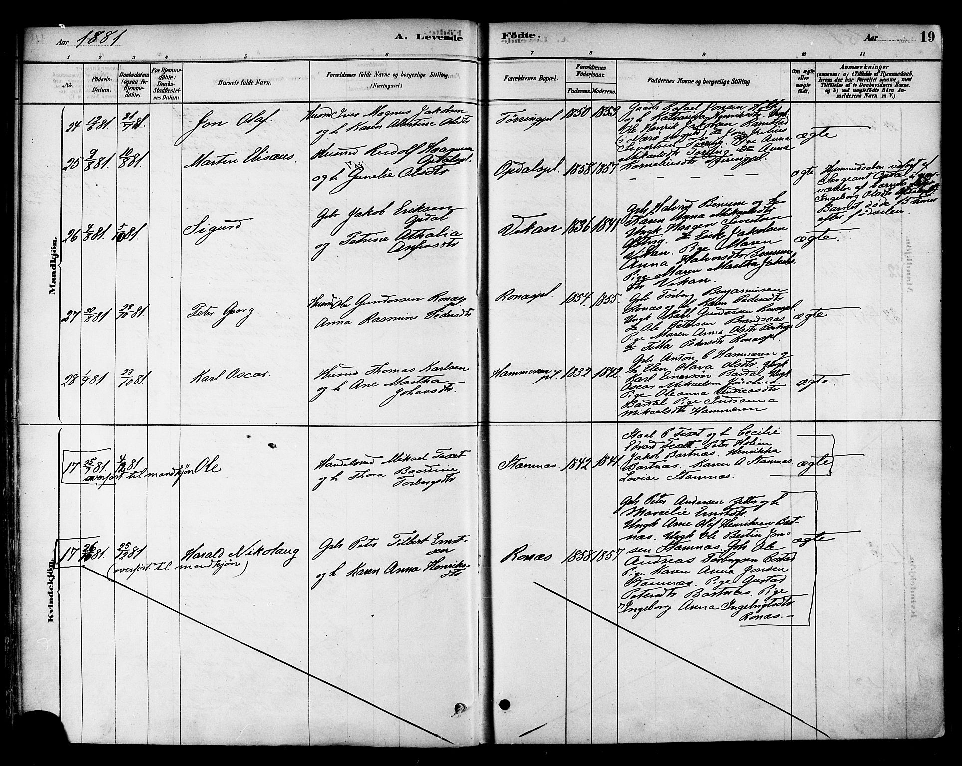 Ministerialprotokoller, klokkerbøker og fødselsregistre - Nord-Trøndelag, AV/SAT-A-1458/741/L0395: Parish register (official) no. 741A09, 1878-1888, p. 19