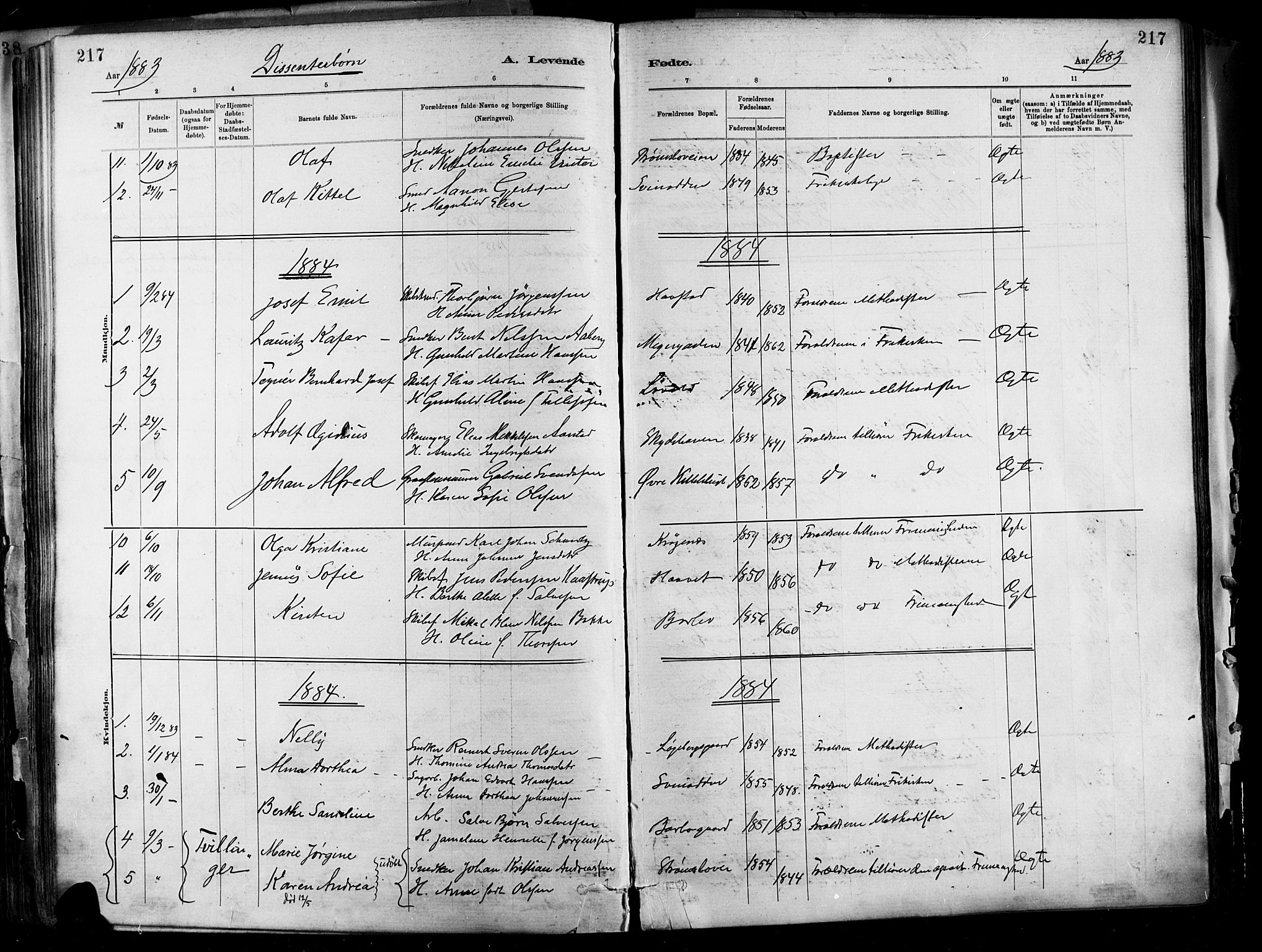 Barbu sokneprestkontor, AV/SAK-1111-0003/F/Fa/L0002: Parish register (official) no. A 2, 1883-1898, p. 217