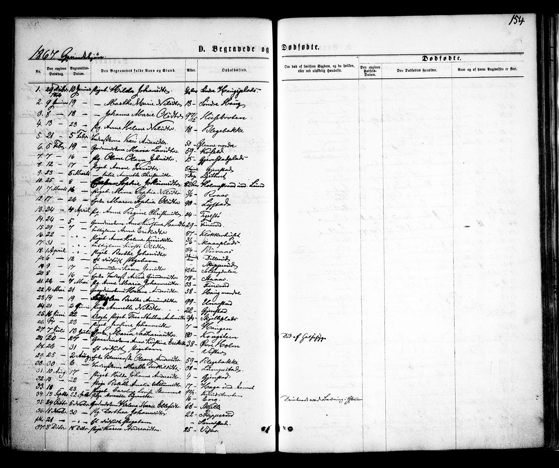 Skiptvet prestekontor Kirkebøker, AV/SAO-A-20009/F/Fa/L0008: Parish register (official) no. 8, 1867-1877, p. 154