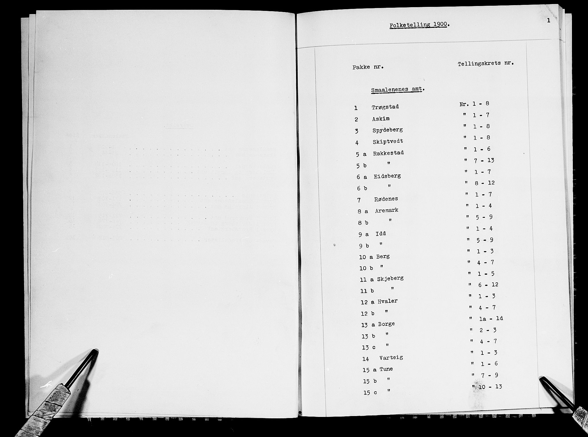 SAO, 1900 census for Rødenes, 1900