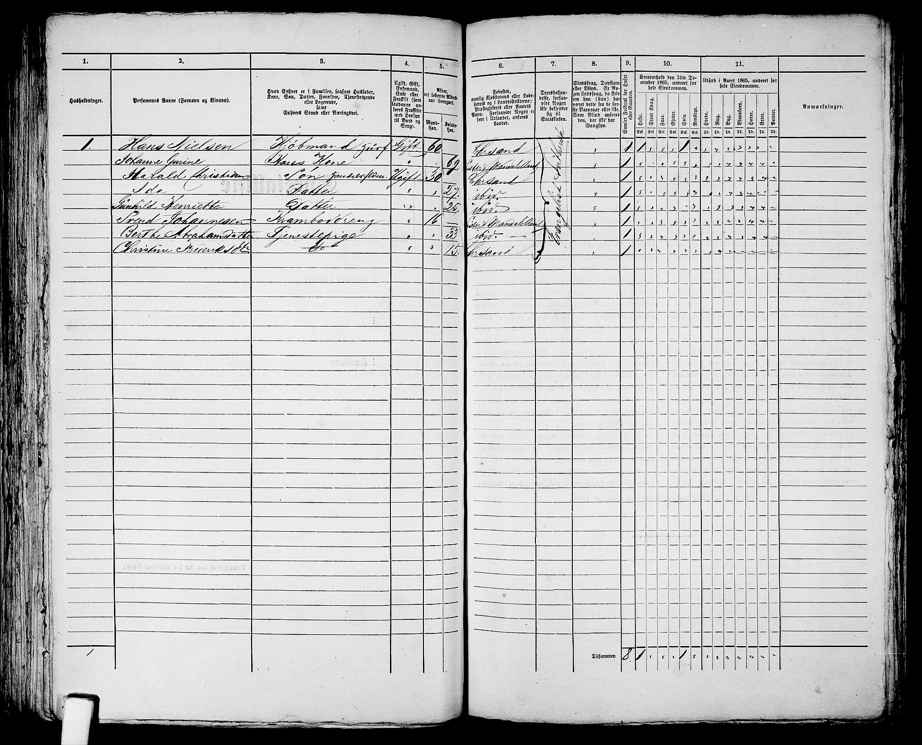 RA, 1865 census for Kristiansand, 1865, p. 1798