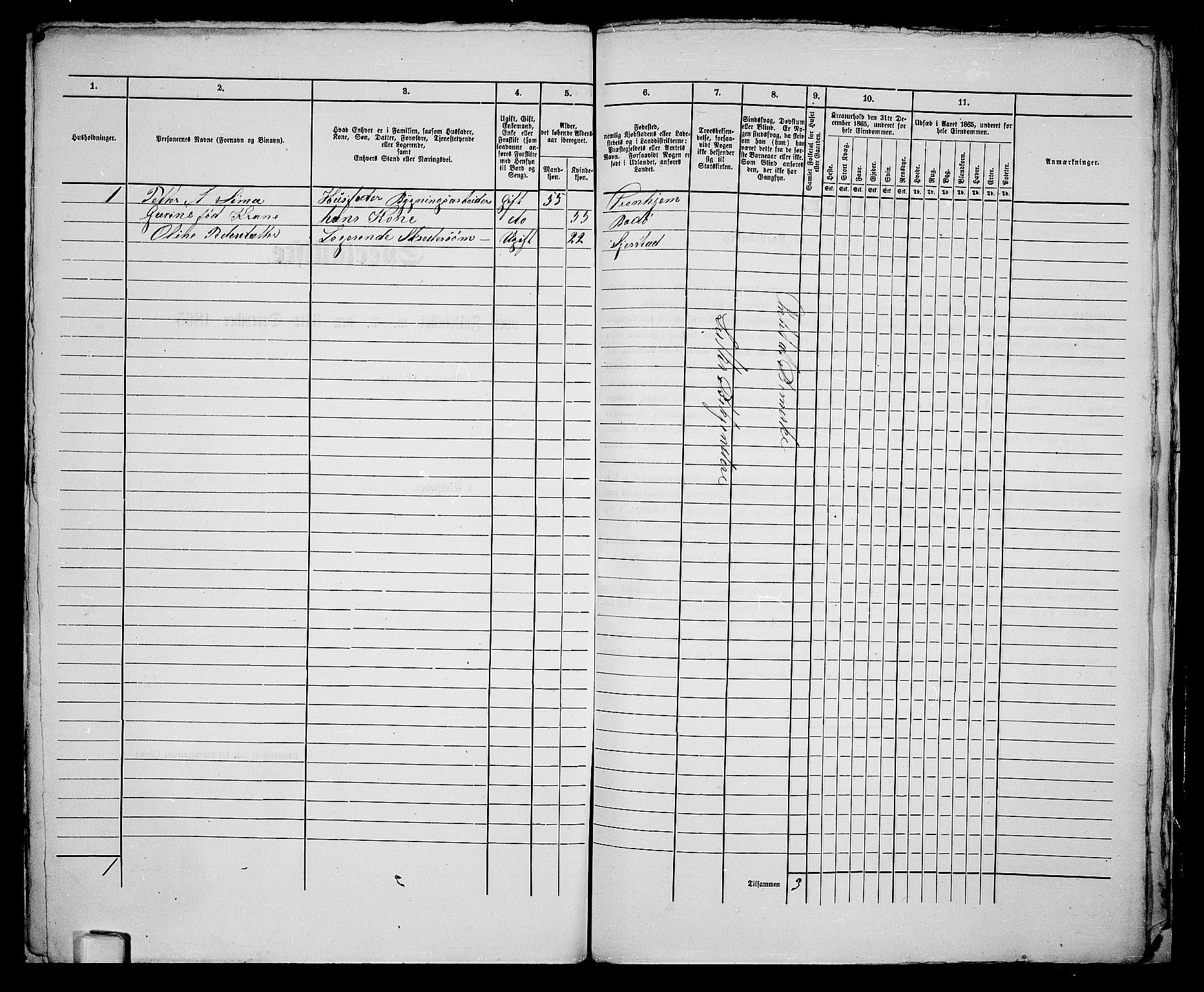 RA, 1865 census for Bodø/Bodø, 1865, p. 142