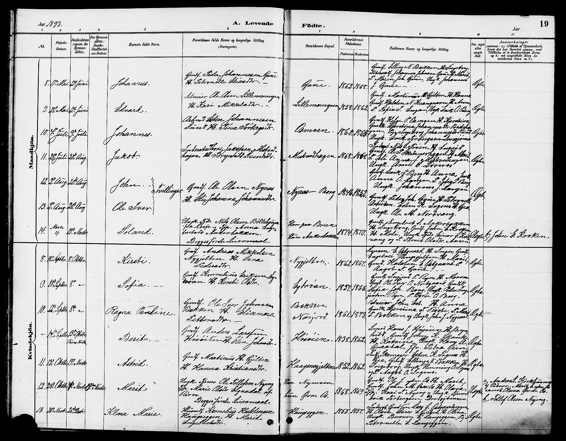 Tolga prestekontor, AV/SAH-PREST-062/L/L0008: Parish register (copy) no. 8, 1887-1912, p. 19