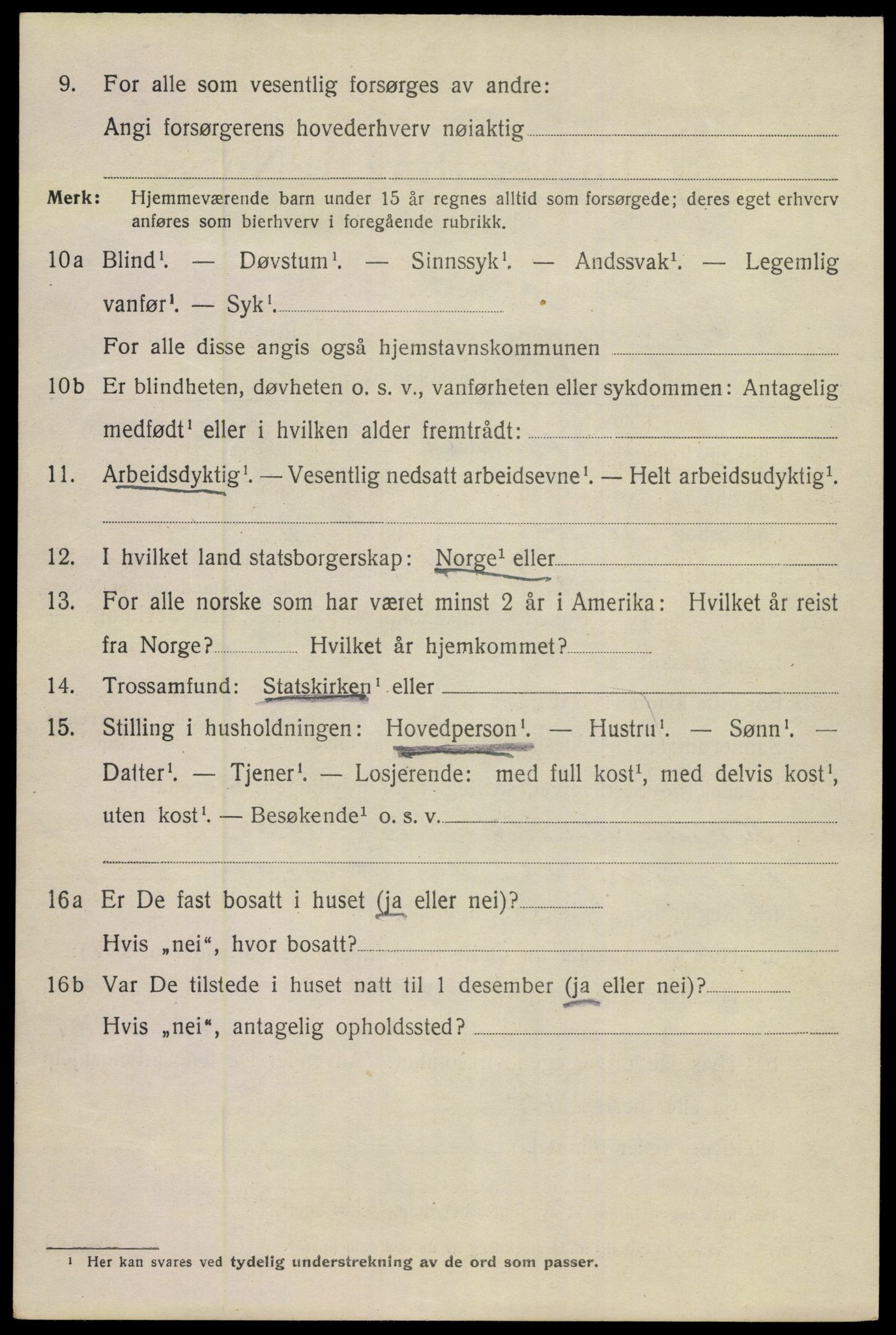 SAKO, 1920 census for Porsgrunn, 1920, p. 19878