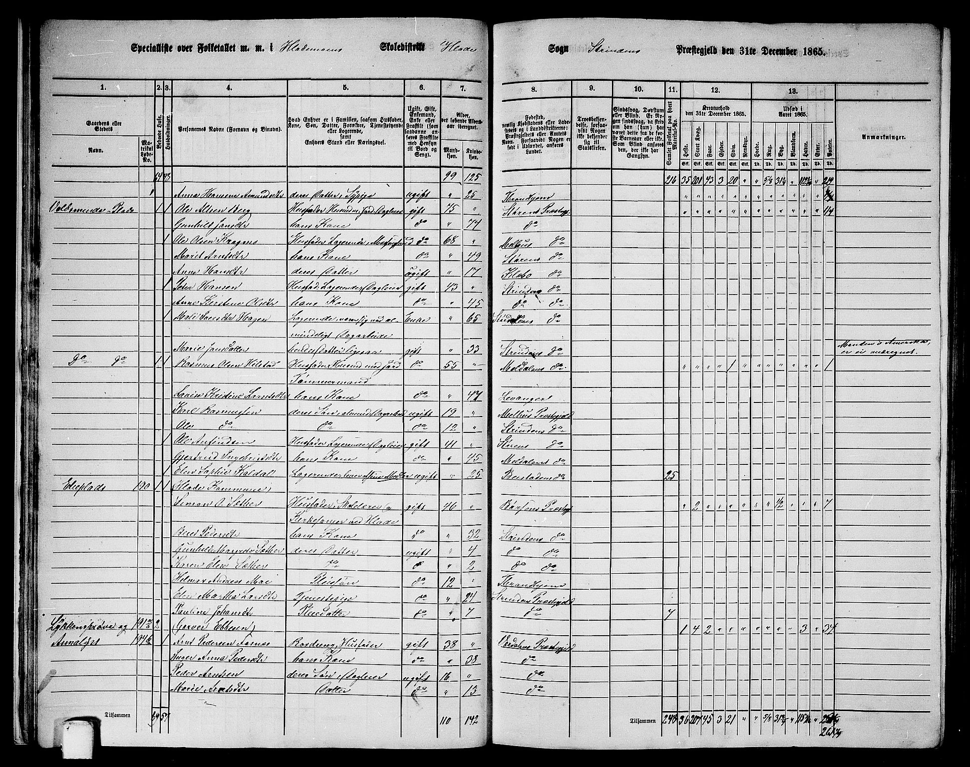 RA, 1865 census for Strinda, 1865, p. 22