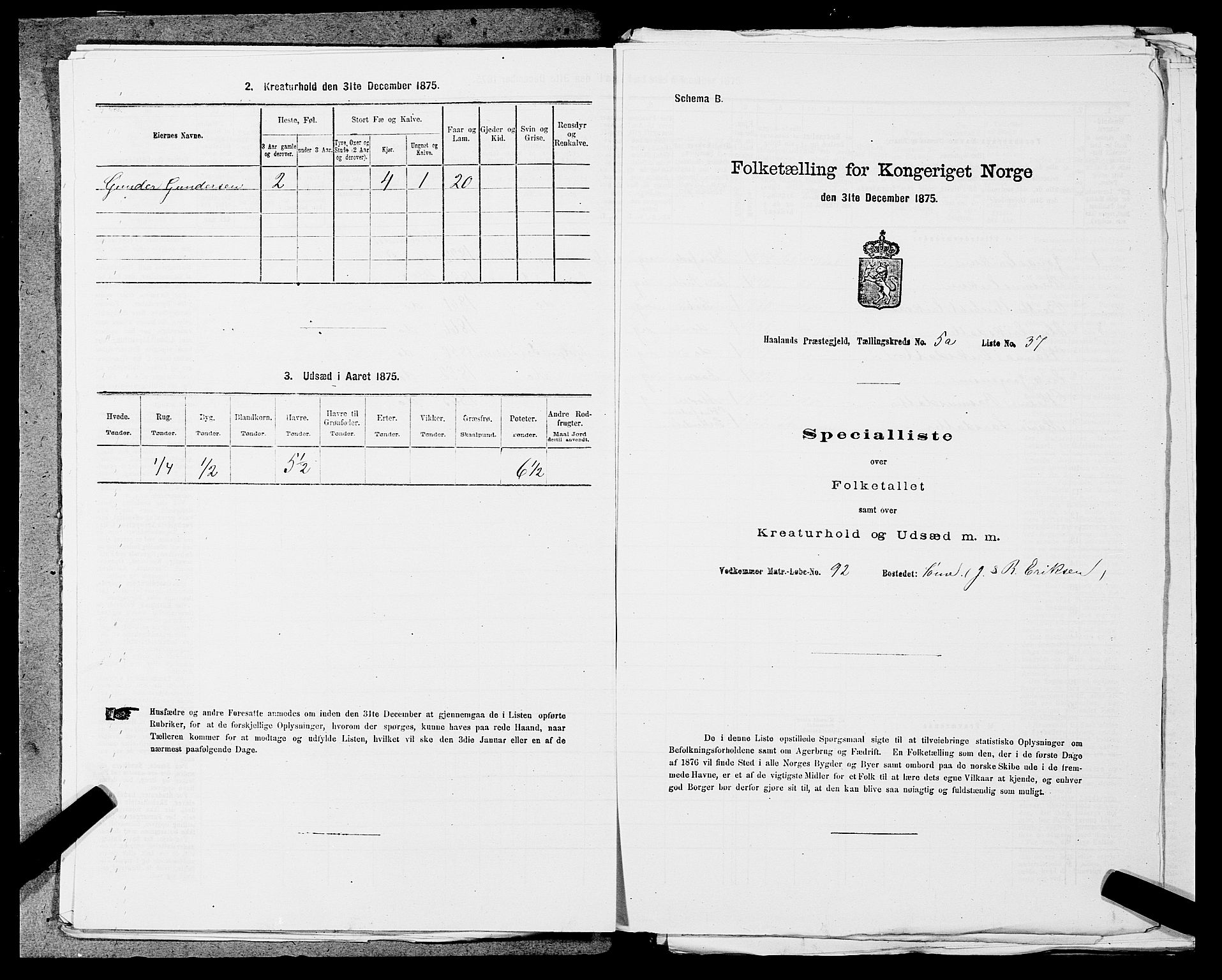 SAST, 1875 census for 1124P Håland, 1875, p. 716