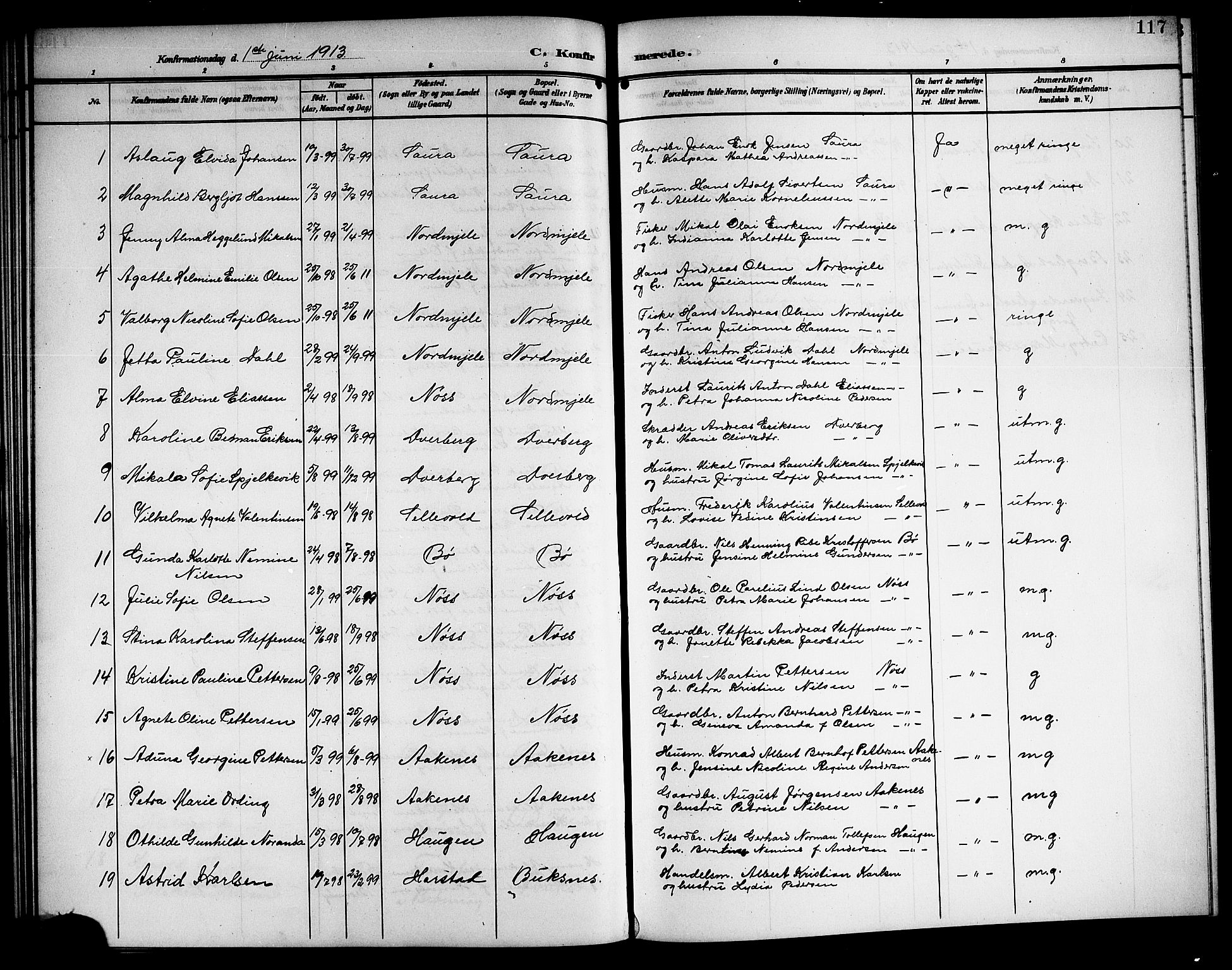 Ministerialprotokoller, klokkerbøker og fødselsregistre - Nordland, AV/SAT-A-1459/897/L1414: Parish register (copy) no. 897C04, 1904-1915, p. 117