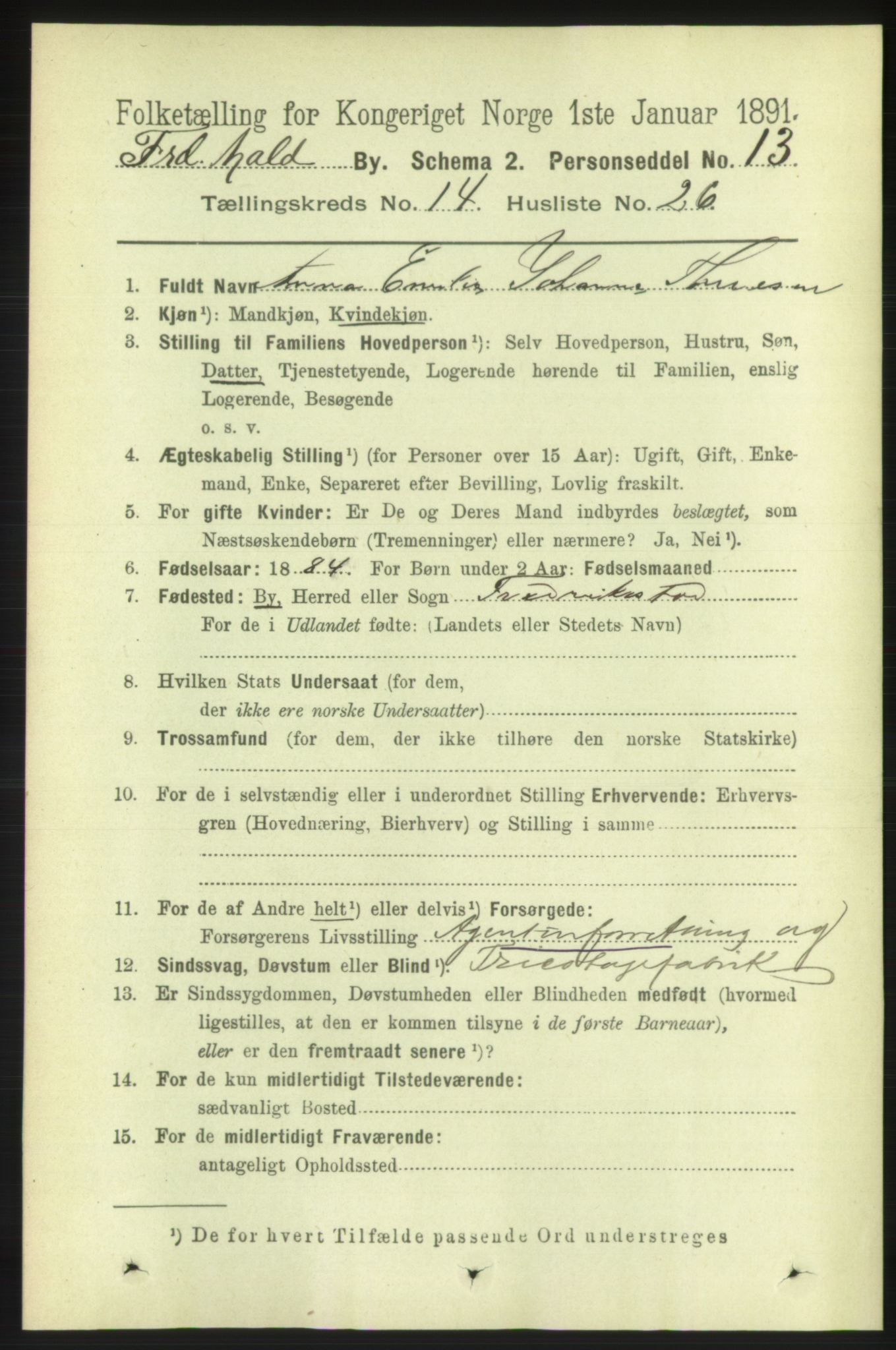 RA, 1891 census for 0101 Fredrikshald, 1891, p. 9386