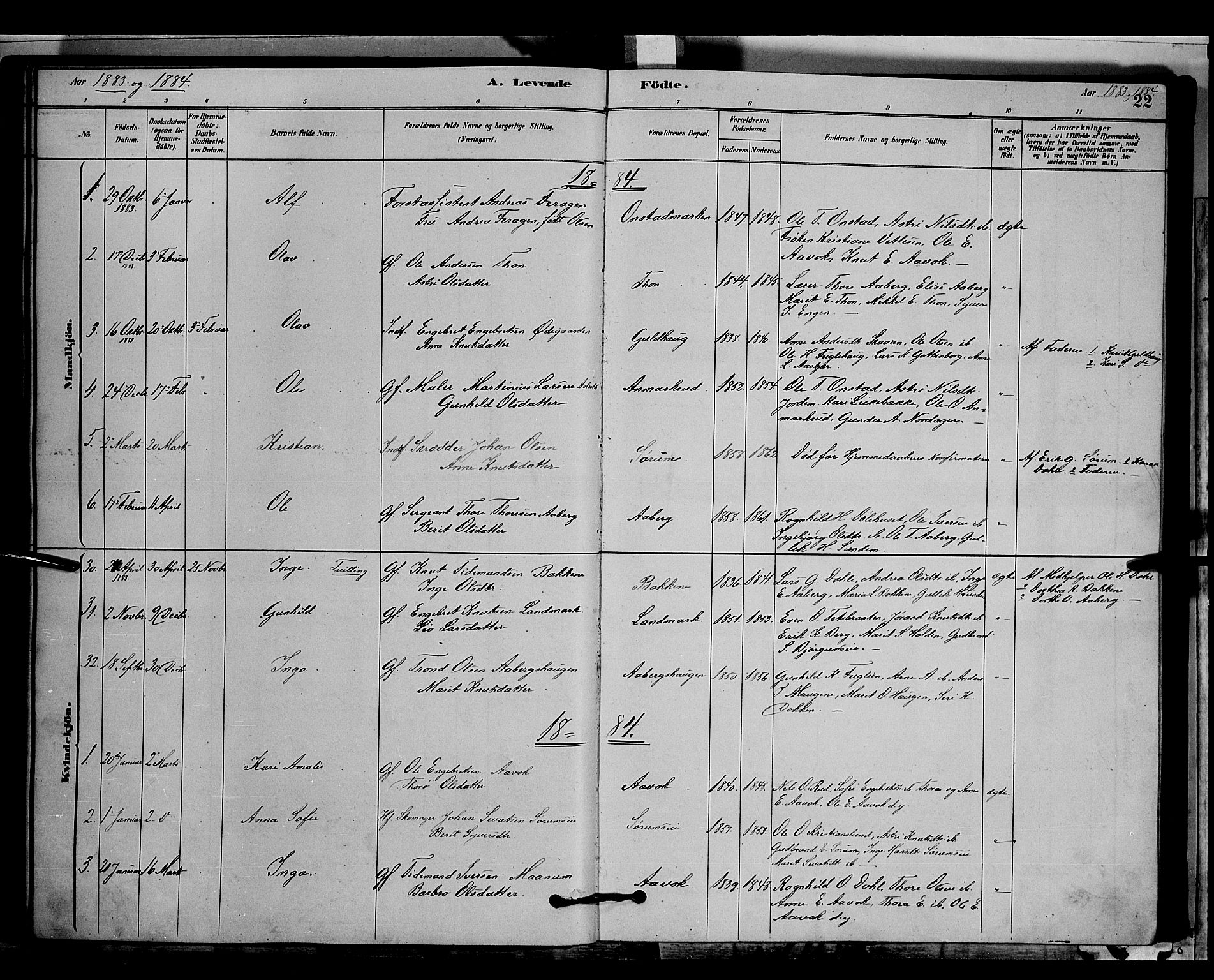 Nord-Aurdal prestekontor, SAH/PREST-132/H/Ha/Hab/L0006: Parish register (copy) no. 6, 1878-1892, p. 22