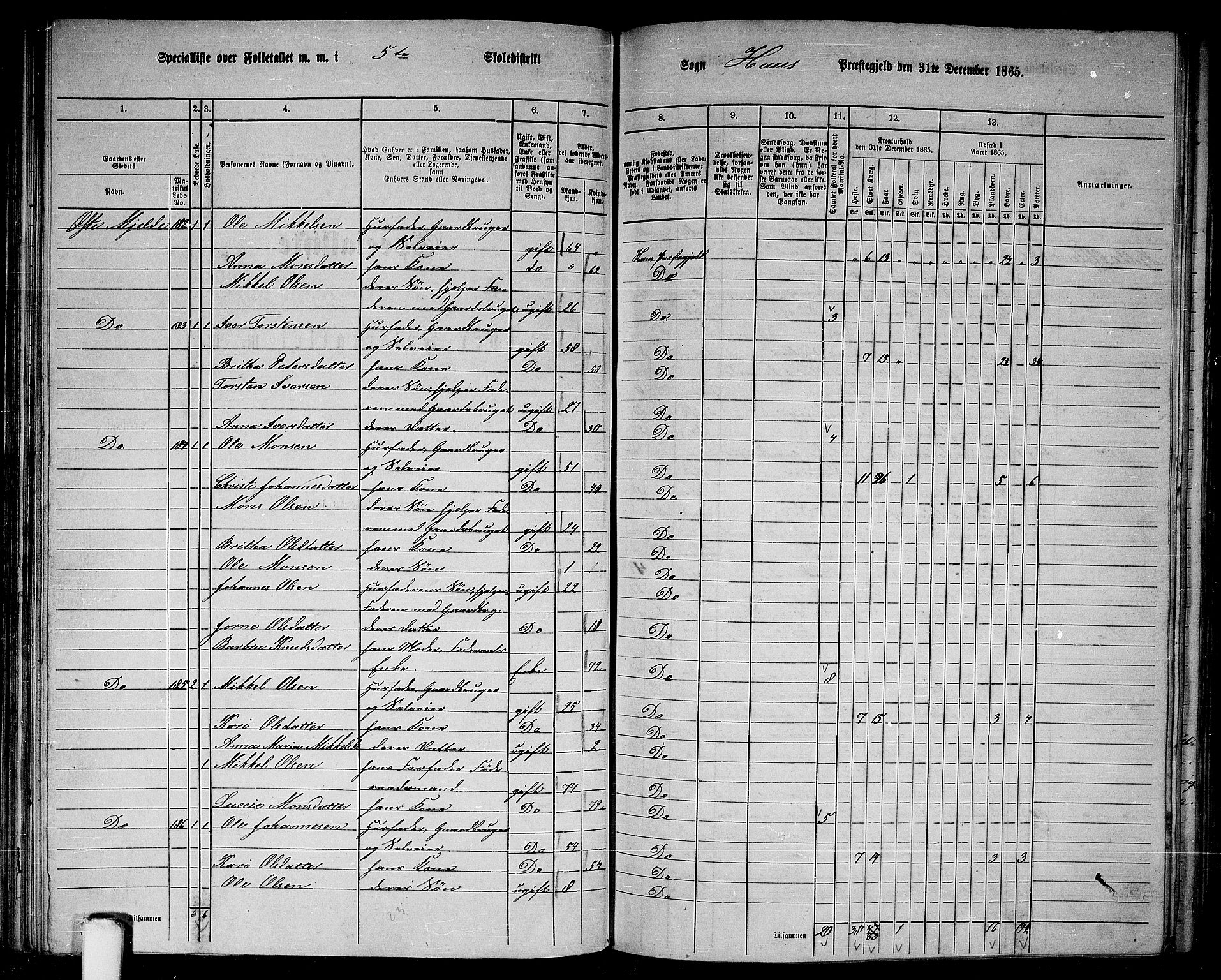 RA, 1865 census for Haus, 1865, p. 93