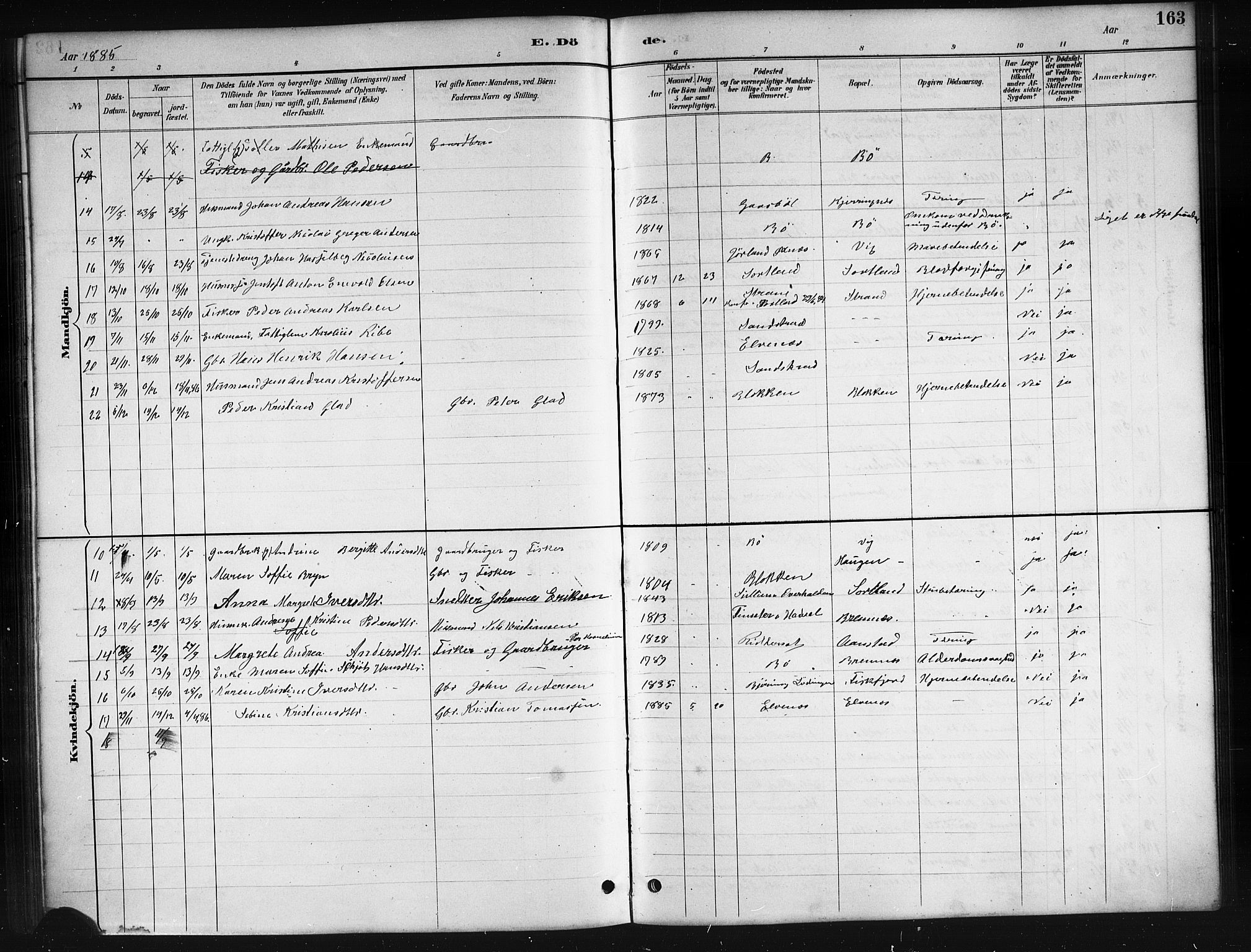 Ministerialprotokoller, klokkerbøker og fødselsregistre - Nordland, AV/SAT-A-1459/895/L1382: Parish register (copy) no. 895C04, 1885-1896, p. 163