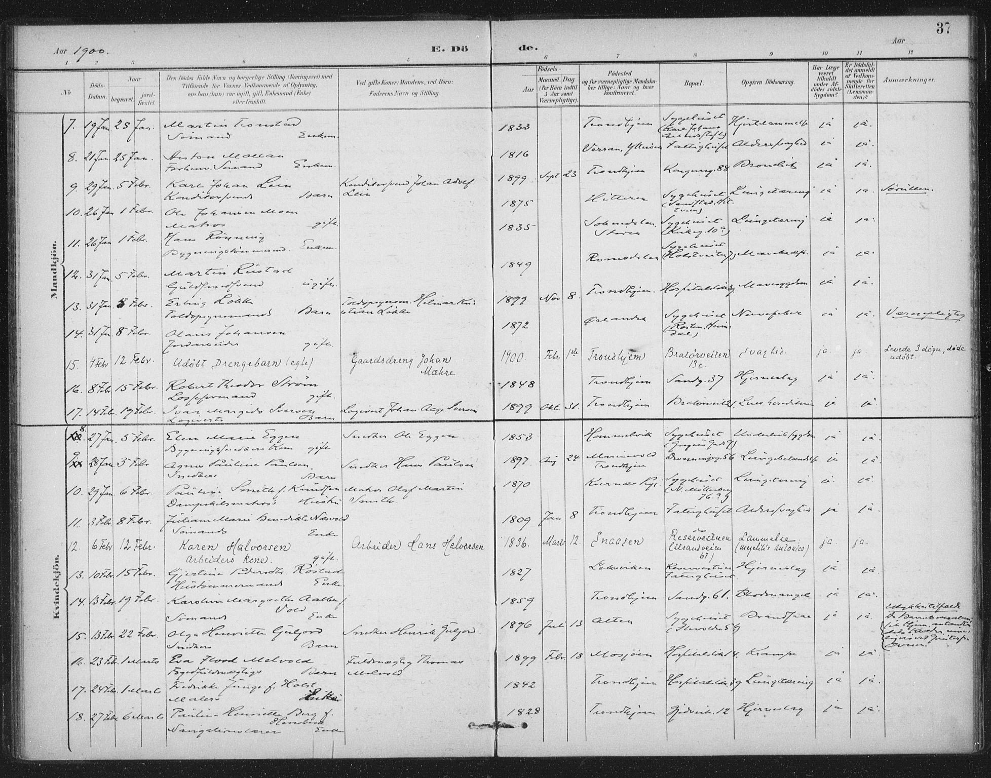 Ministerialprotokoller, klokkerbøker og fødselsregistre - Sør-Trøndelag, SAT/A-1456/602/L0123: Parish register (official) no. 602A21, 1895-1910, p. 37