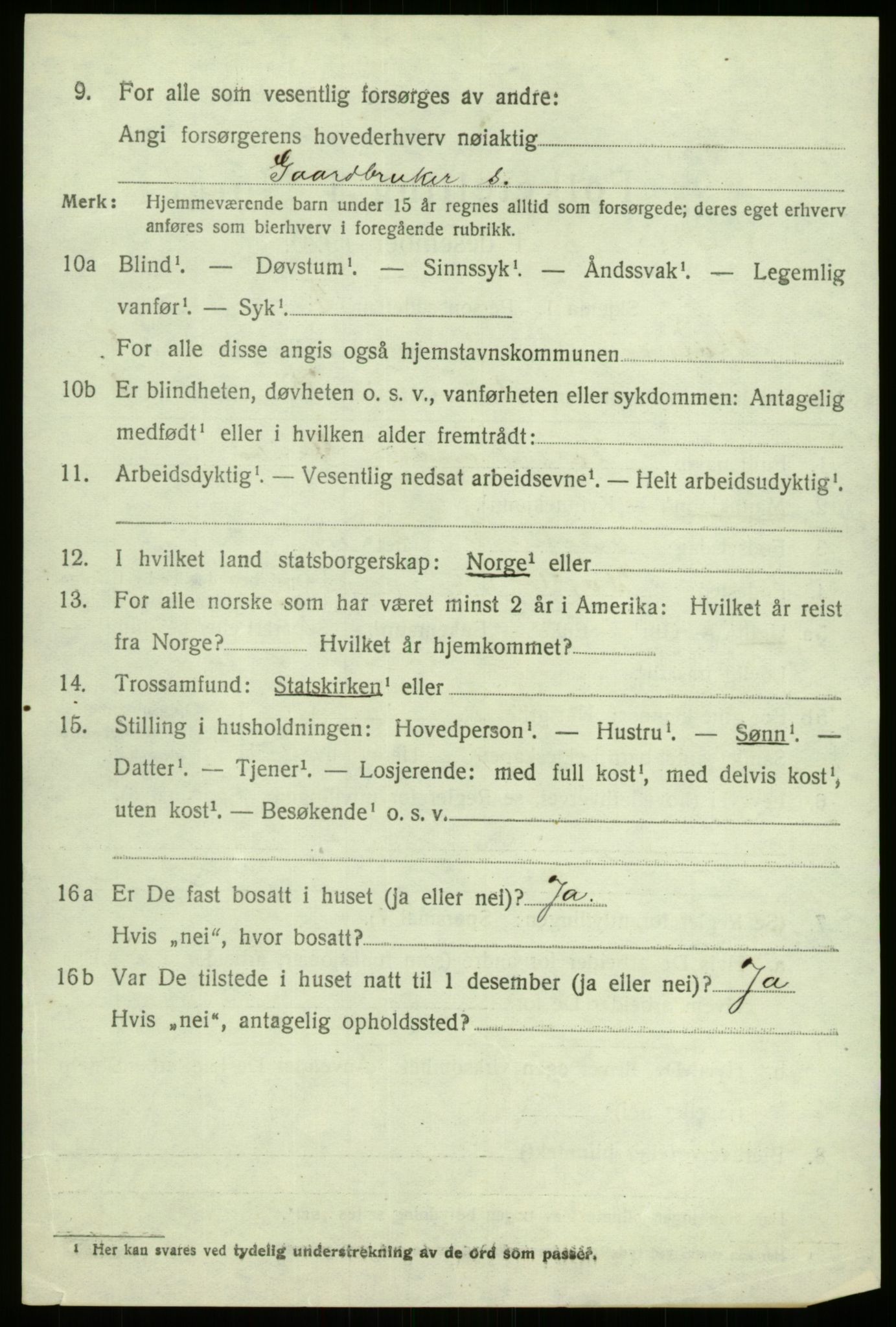 SAB, 1920 census for Hafslo, 1920, p. 3875