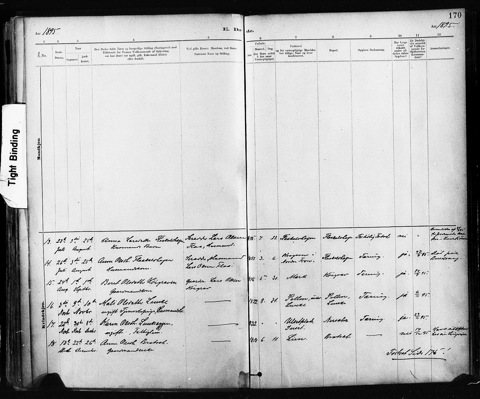 Ministerialprotokoller, klokkerbøker og fødselsregistre - Sør-Trøndelag, SAT/A-1456/674/L0871: Parish register (official) no. 674A03, 1880-1896, p. 170