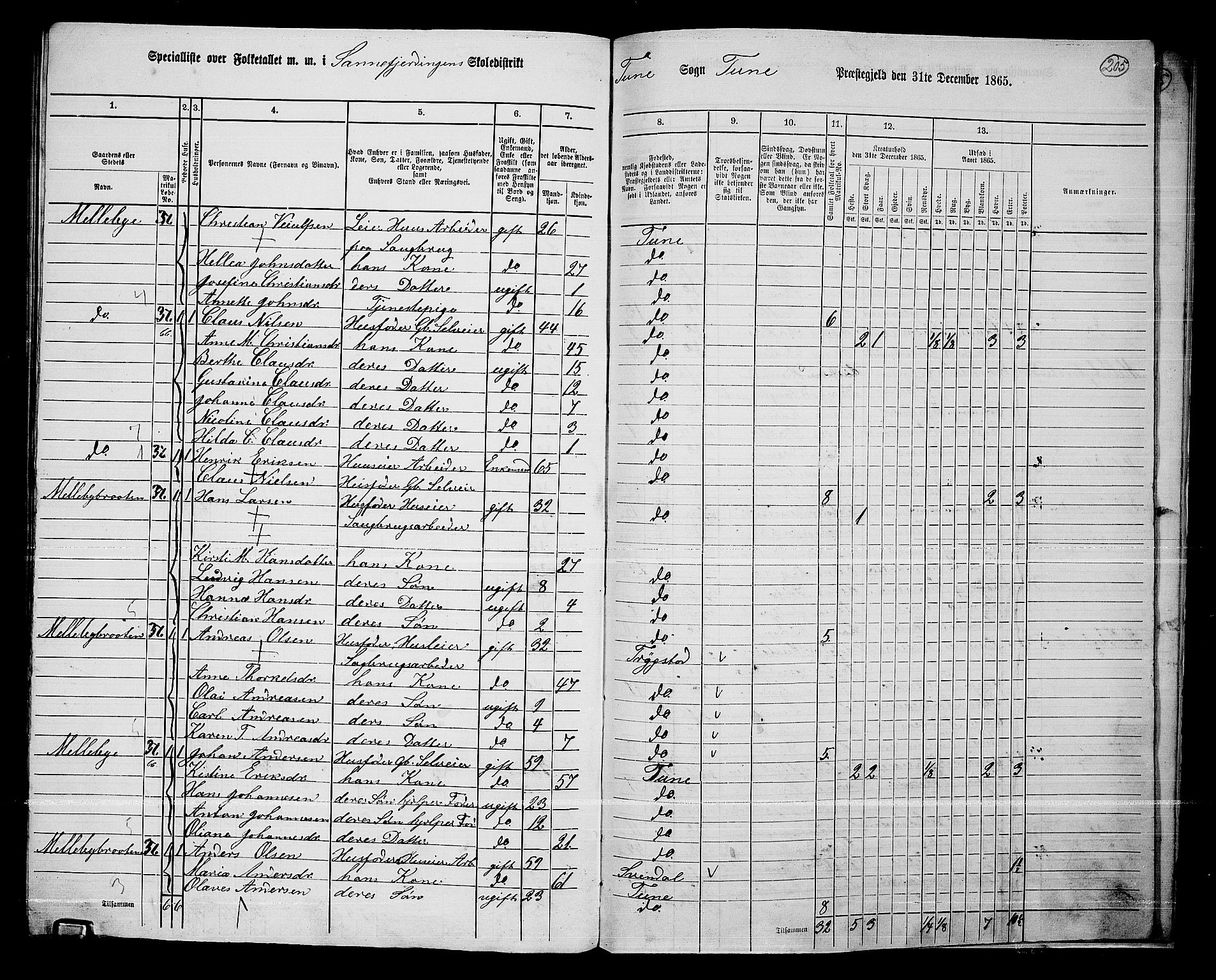 RA, 1865 census for Tune, 1865, p. 273