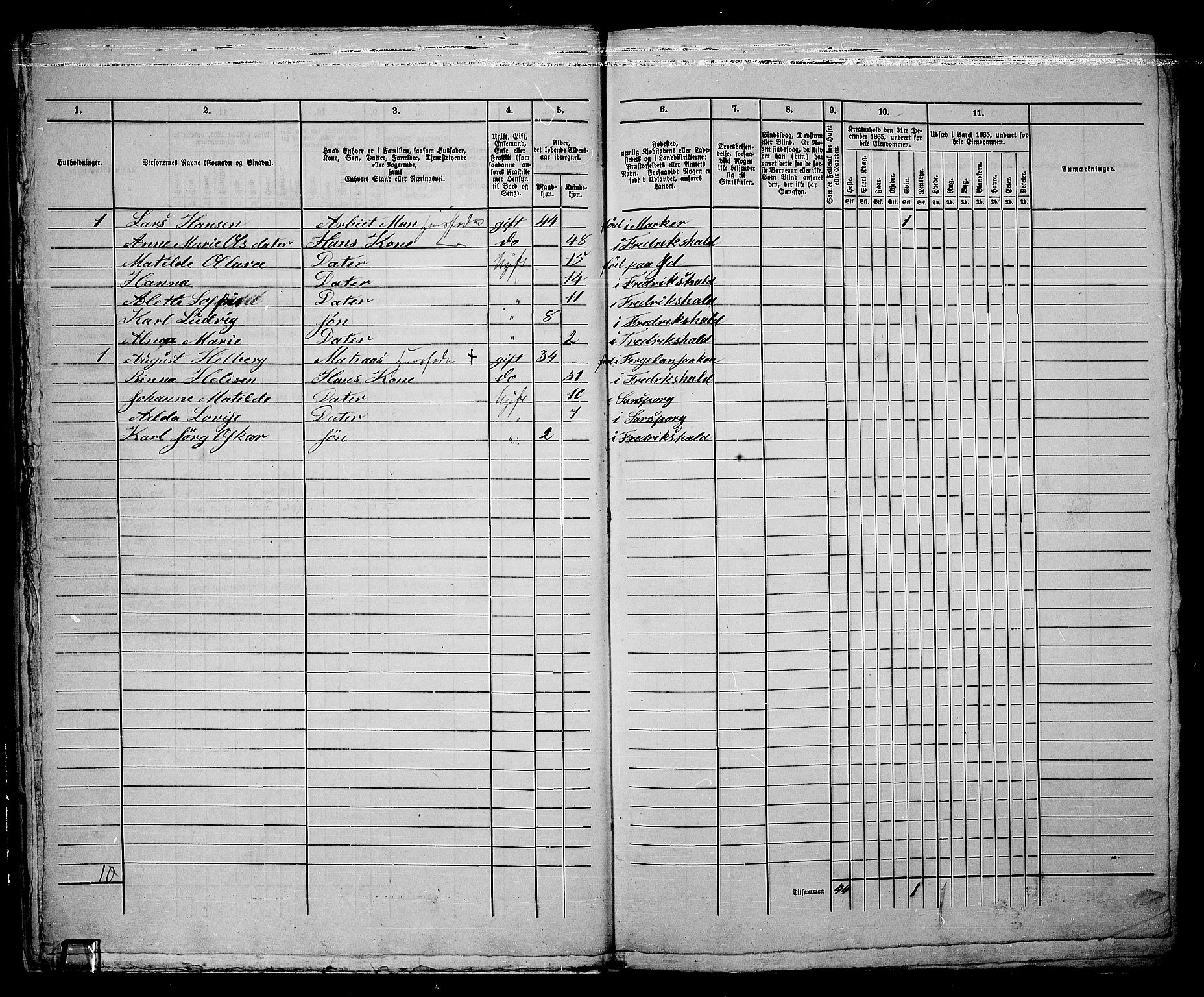 RA, 1865 census for Fredrikshald, 1865, p. 424