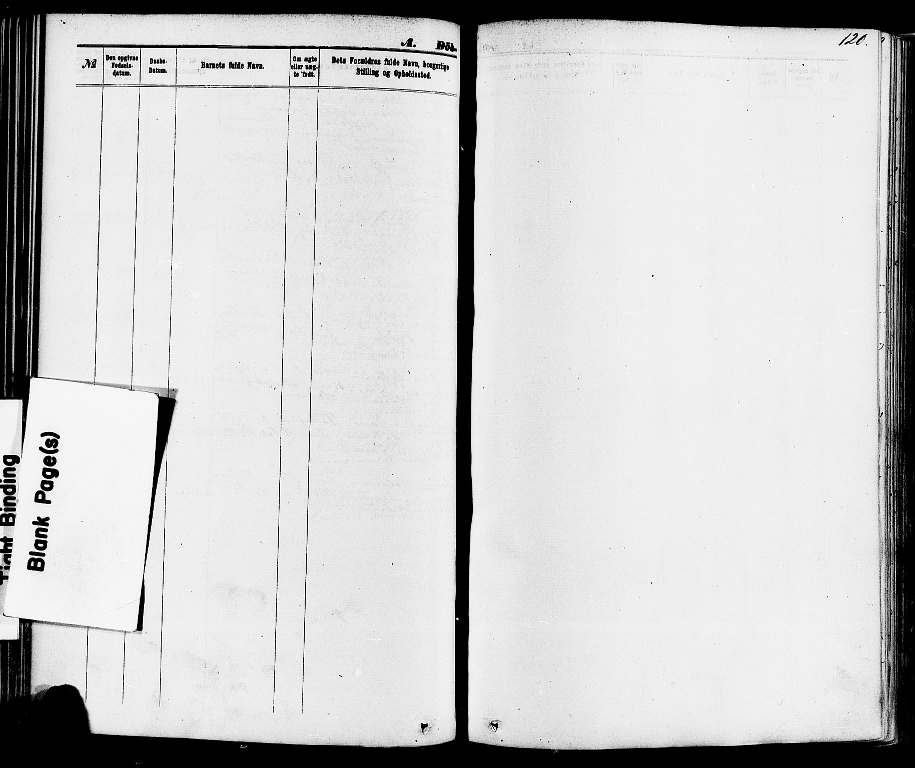 Skien kirkebøker, SAKO/A-302/F/Fa/L0008: Parish register (official) no. 8, 1866-1877, p. 120