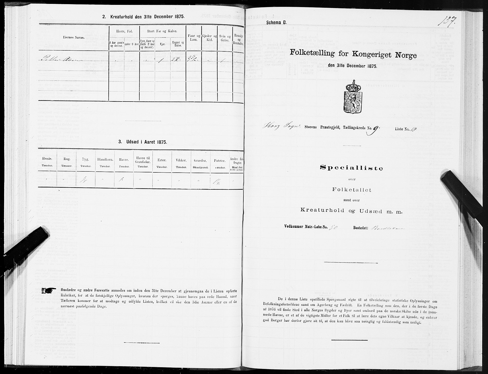 SAT, 1875 census for 1648P Støren, 1875, p. 5137