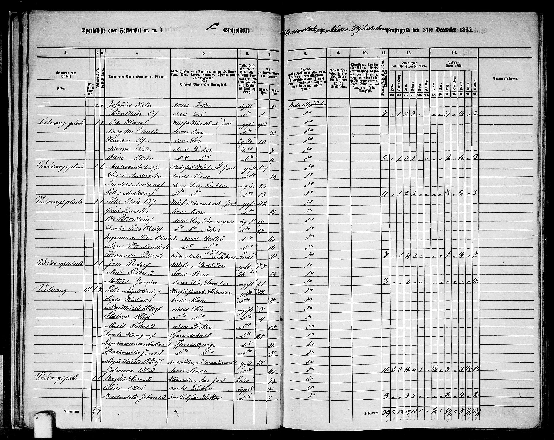 RA, 1865 census for Nedre Stjørdal, 1865, p. 32