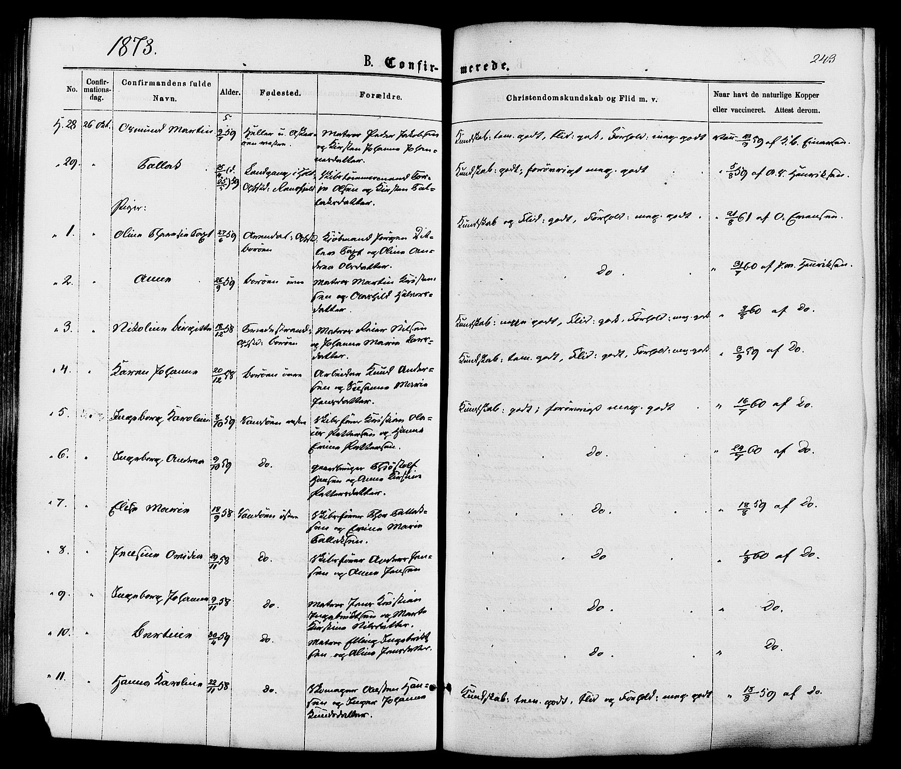 Dypvåg sokneprestkontor, AV/SAK-1111-0007/F/Fa/Faa/L0007: Parish register (official) no. A 7/ 1, 1872-1884, p. 243