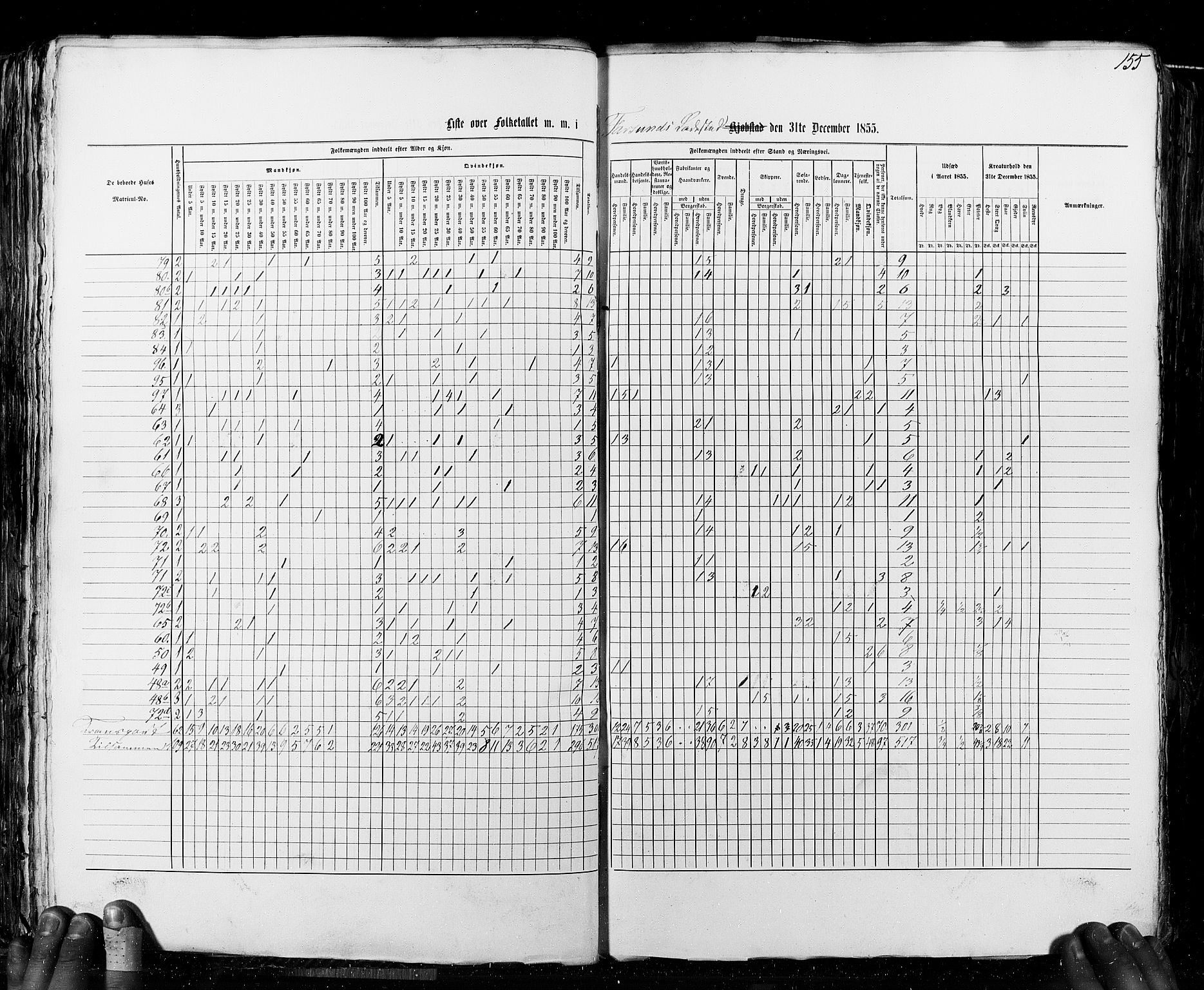 RA, Census 1855, vol. 8: Risør-Vadsø, 1855, p. 155