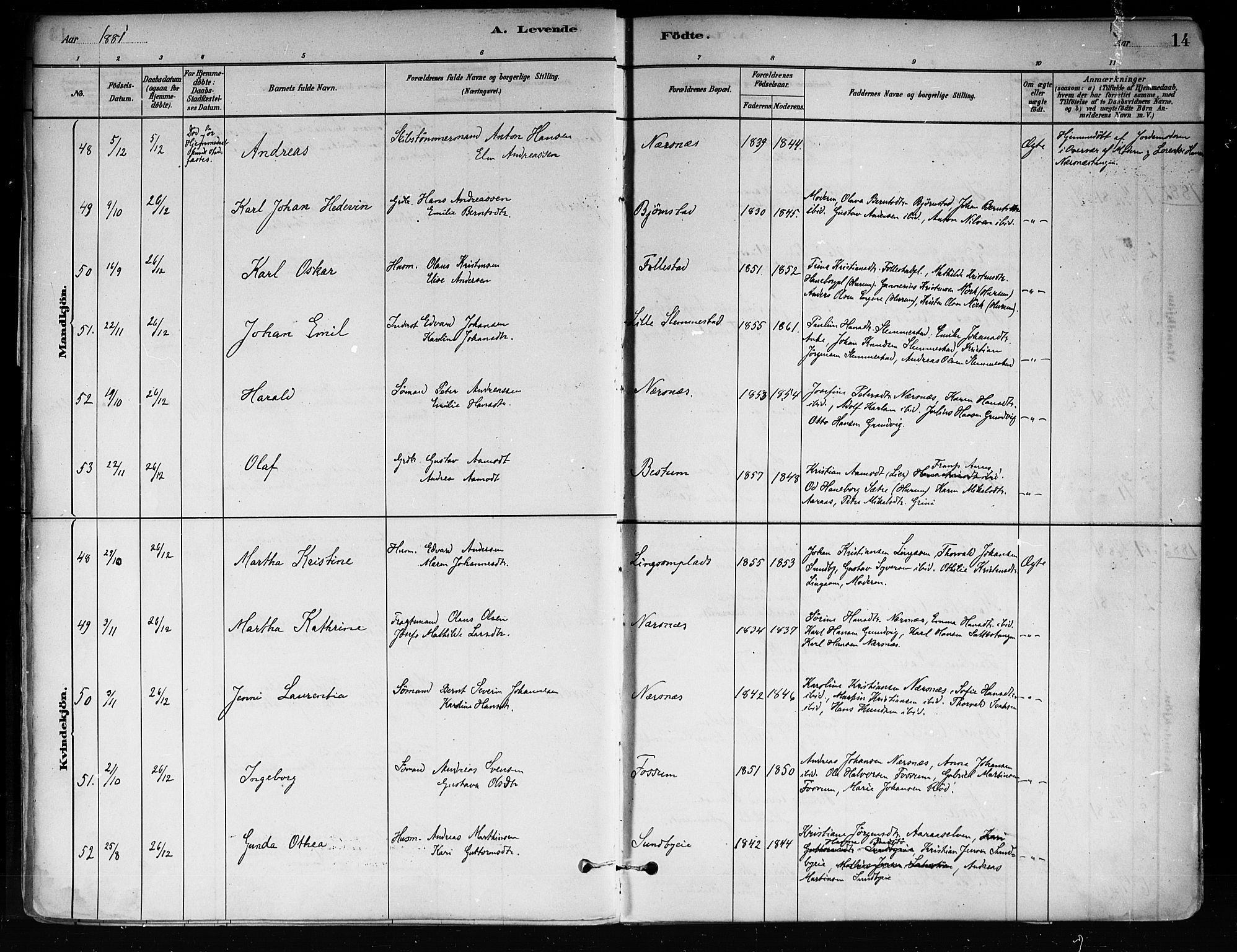 Røyken kirkebøker, SAKO/A-241/F/Fa/L0008: Parish register (official) no. 8, 1880-1897, p. 14