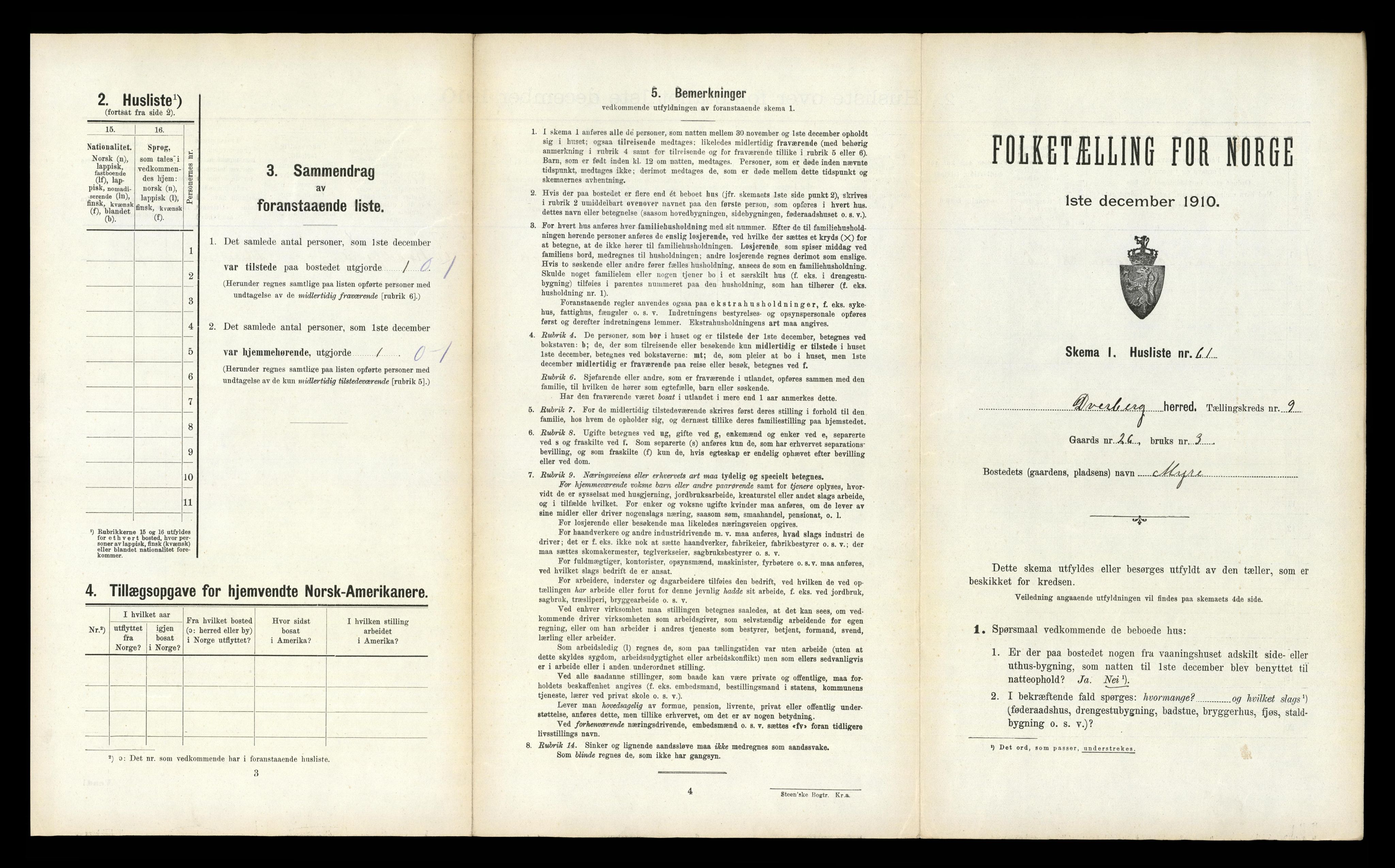 RA, 1910 census for Dverberg, 1910, p. 806