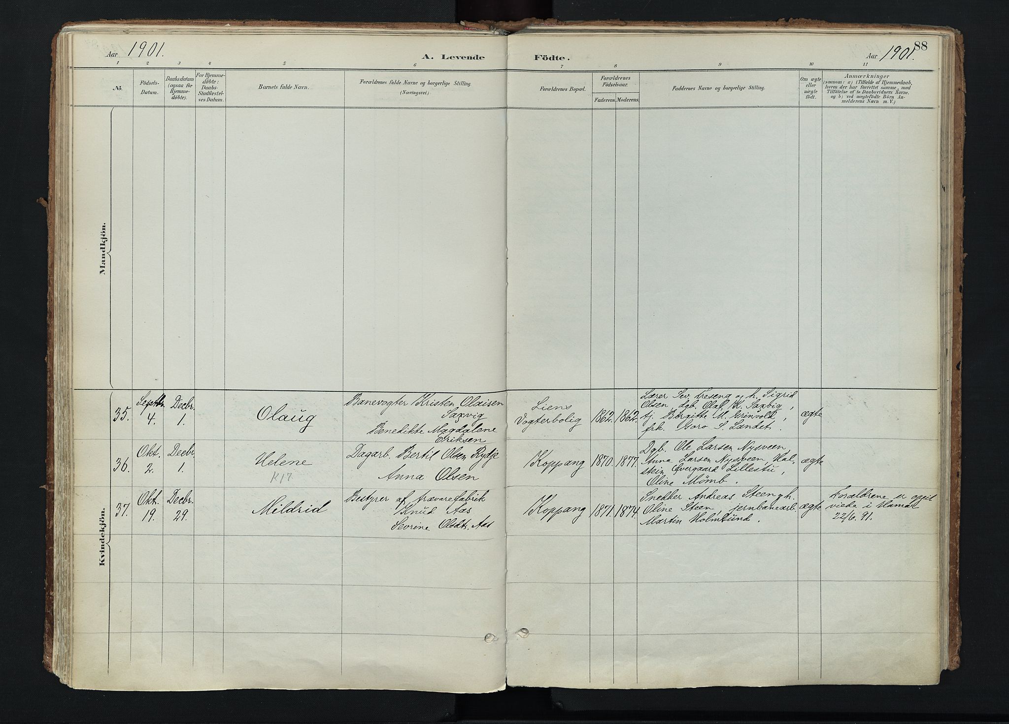 Stor-Elvdal prestekontor, AV/SAH-PREST-052/H/Ha/Haa/L0004: Parish register (official) no. 4, 1890-1922, p. 88