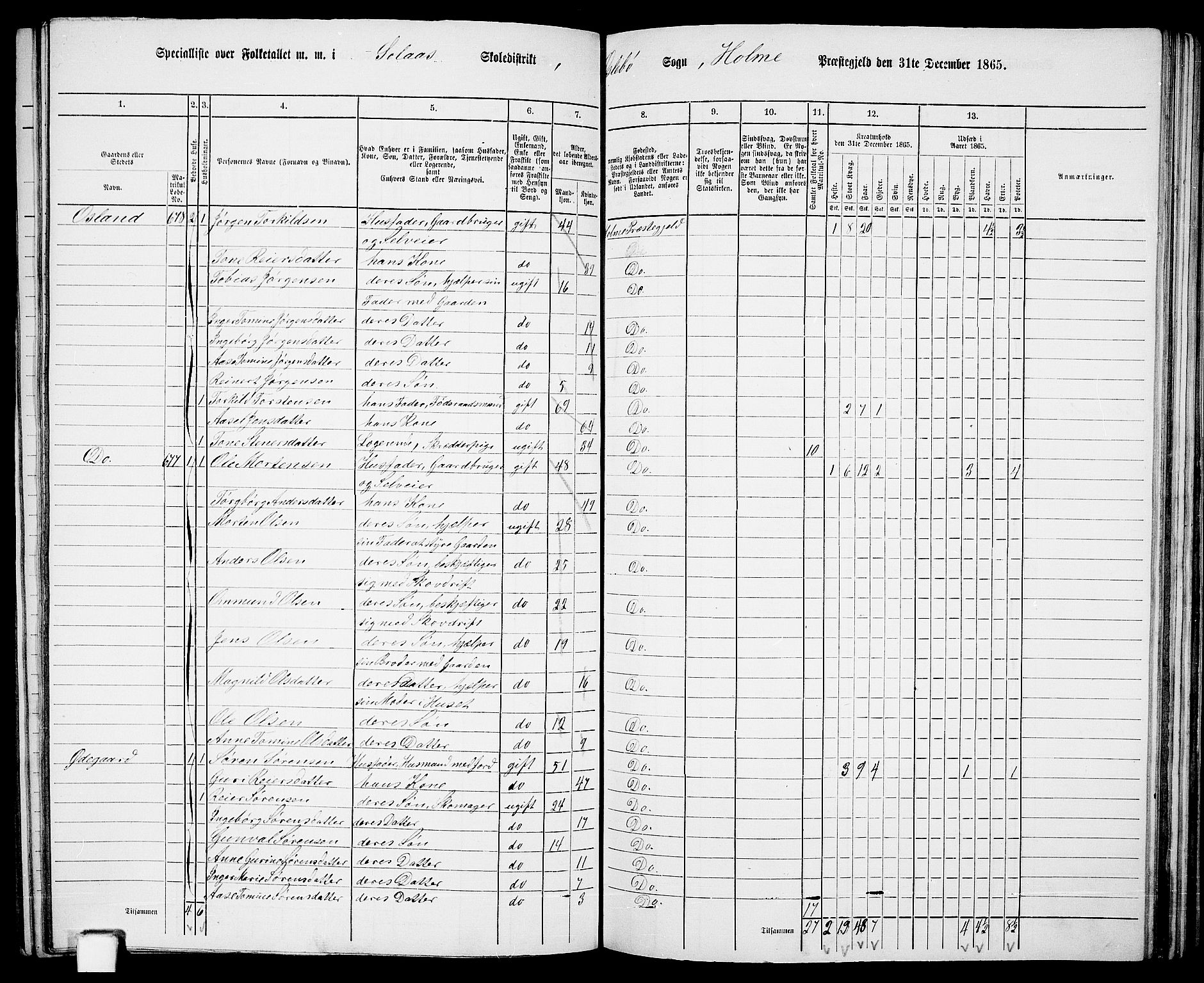 RA, 1865 census for Holum, 1865, p. 117