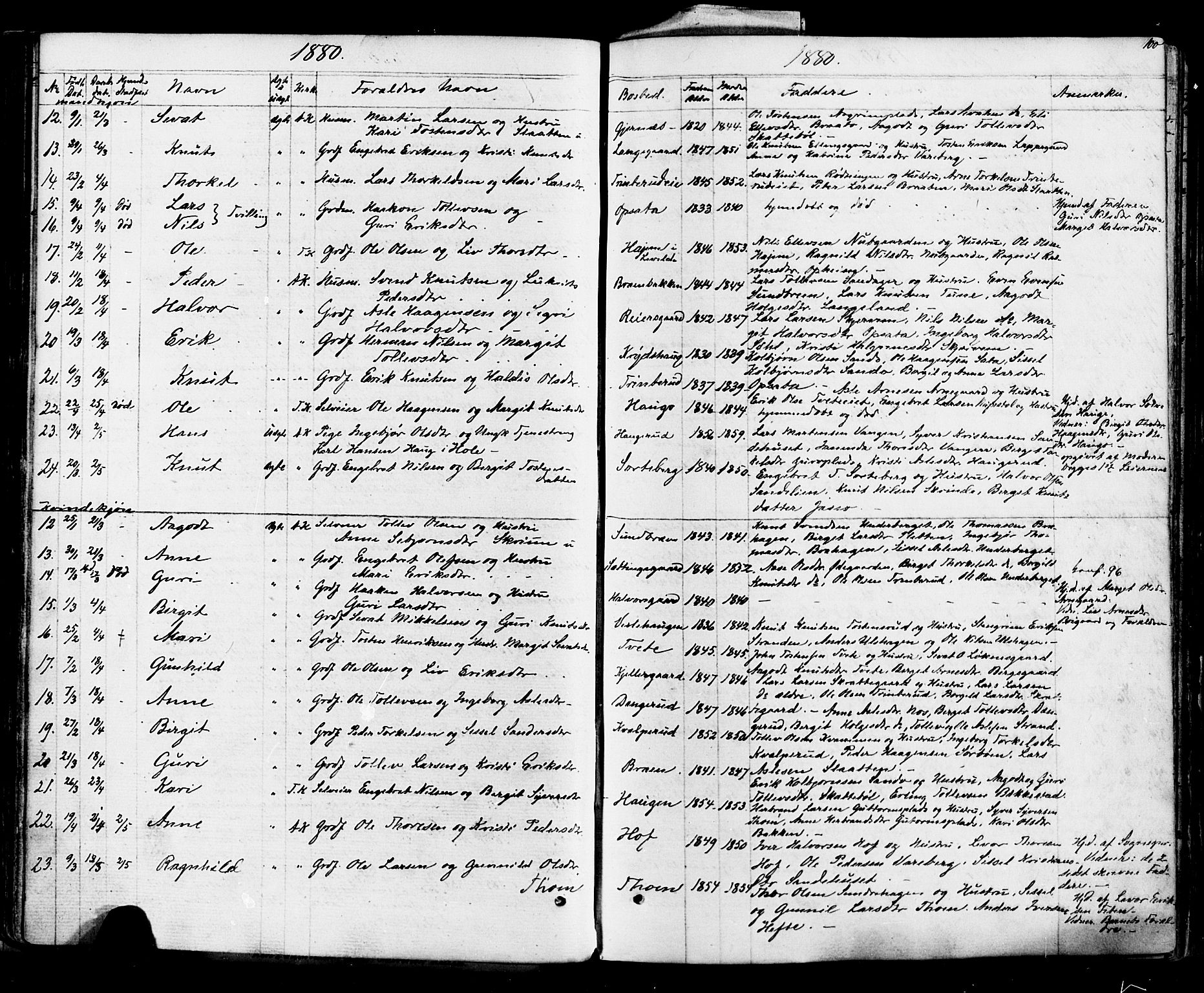 Ål kirkebøker, AV/SAKO-A-249/F/Fa/L0007: Parish register (official) no. I 7, 1865-1881, p. 100