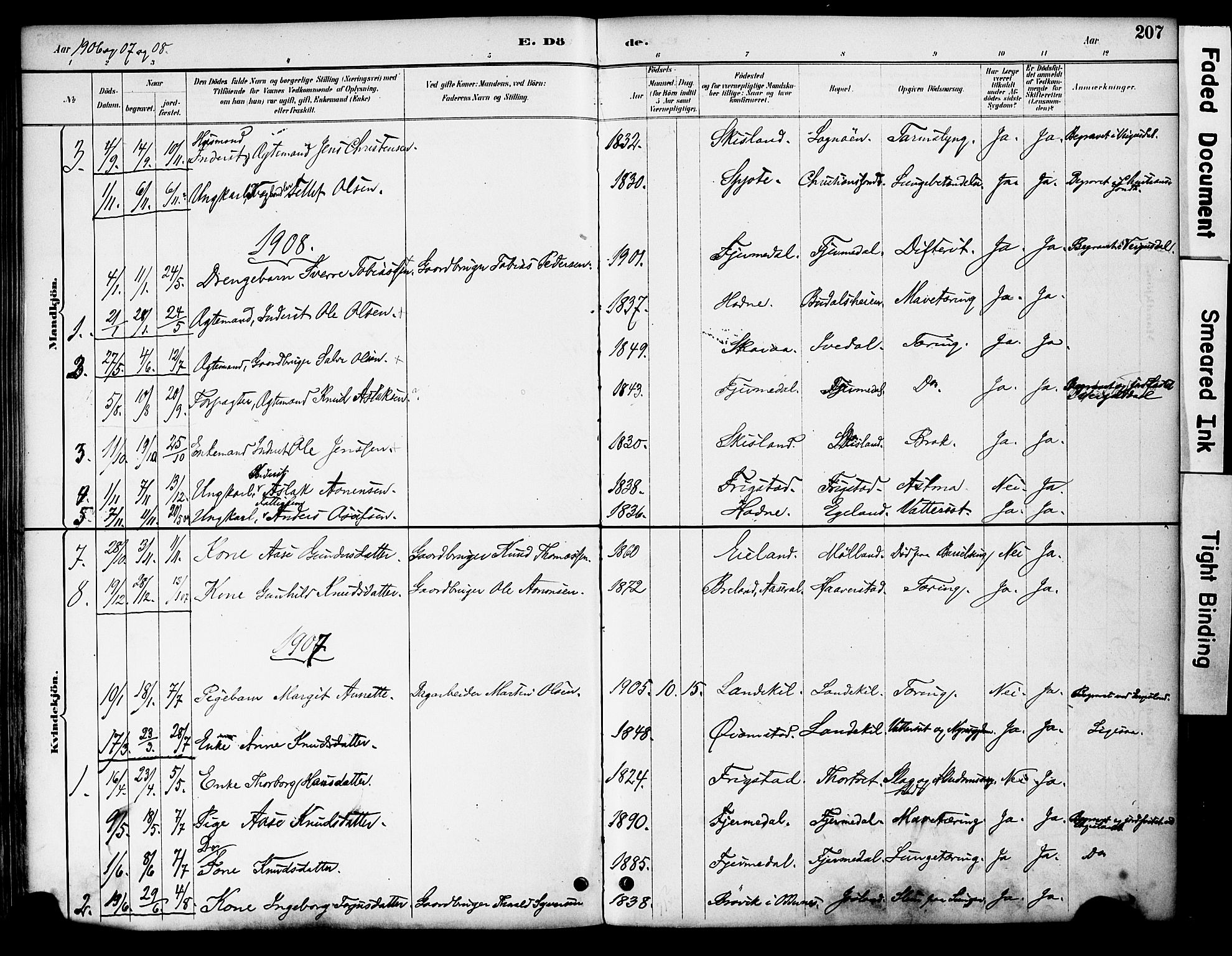 Evje sokneprestkontor, AV/SAK-1111-0008/F/Fa/Fac/L0003: Parish register (official) no. A 3, 1884-1909, p. 207