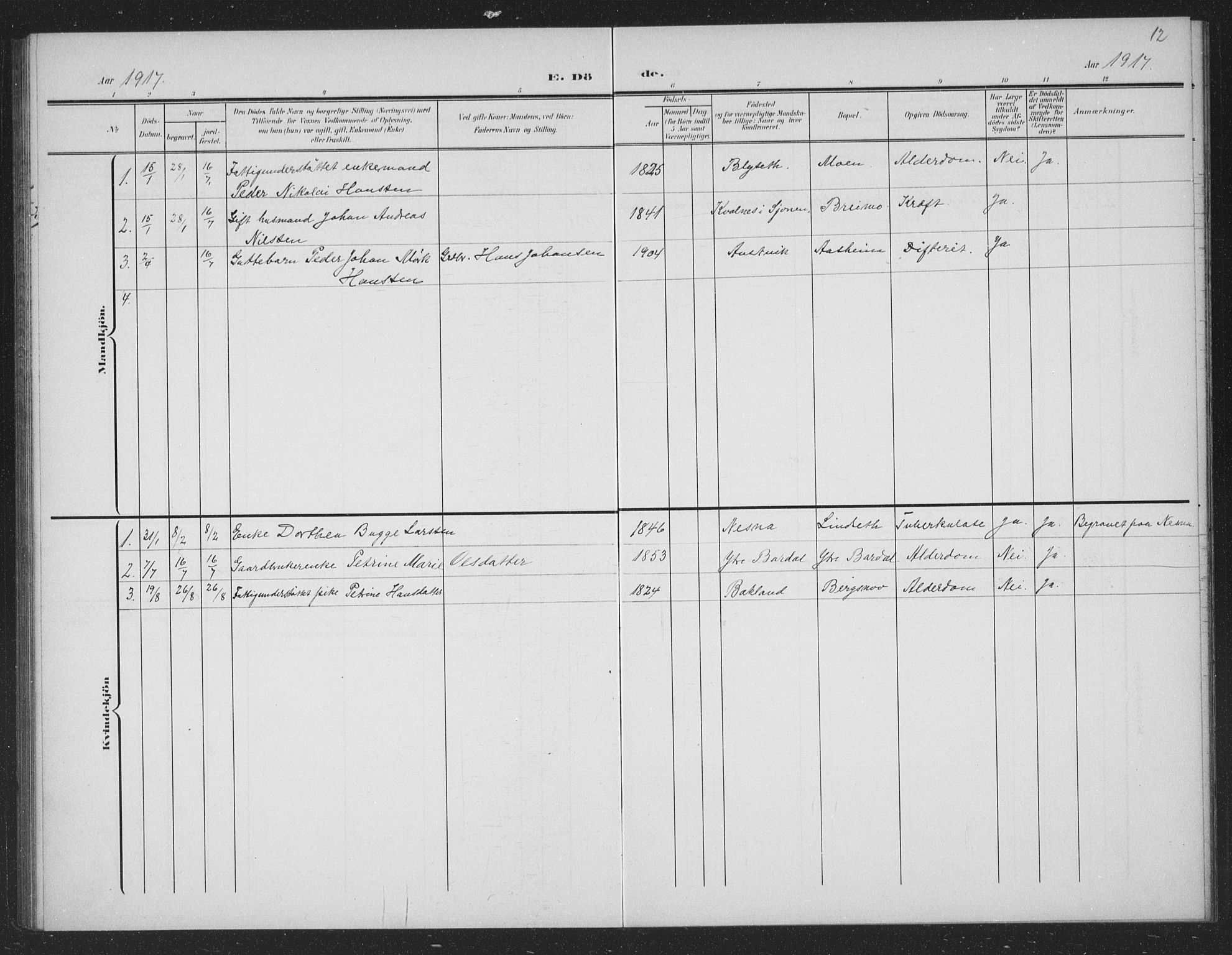 Ministerialprotokoller, klokkerbøker og fødselsregistre - Nordland, AV/SAT-A-1459/833/L0502: Parish register (copy) no. 833C01, 1906-1934, p. 12