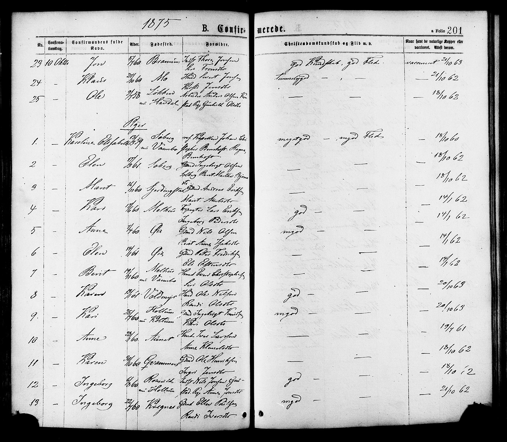 Ministerialprotokoller, klokkerbøker og fødselsregistre - Sør-Trøndelag, AV/SAT-A-1456/691/L1079: Parish register (official) no. 691A11, 1873-1886, p. 201