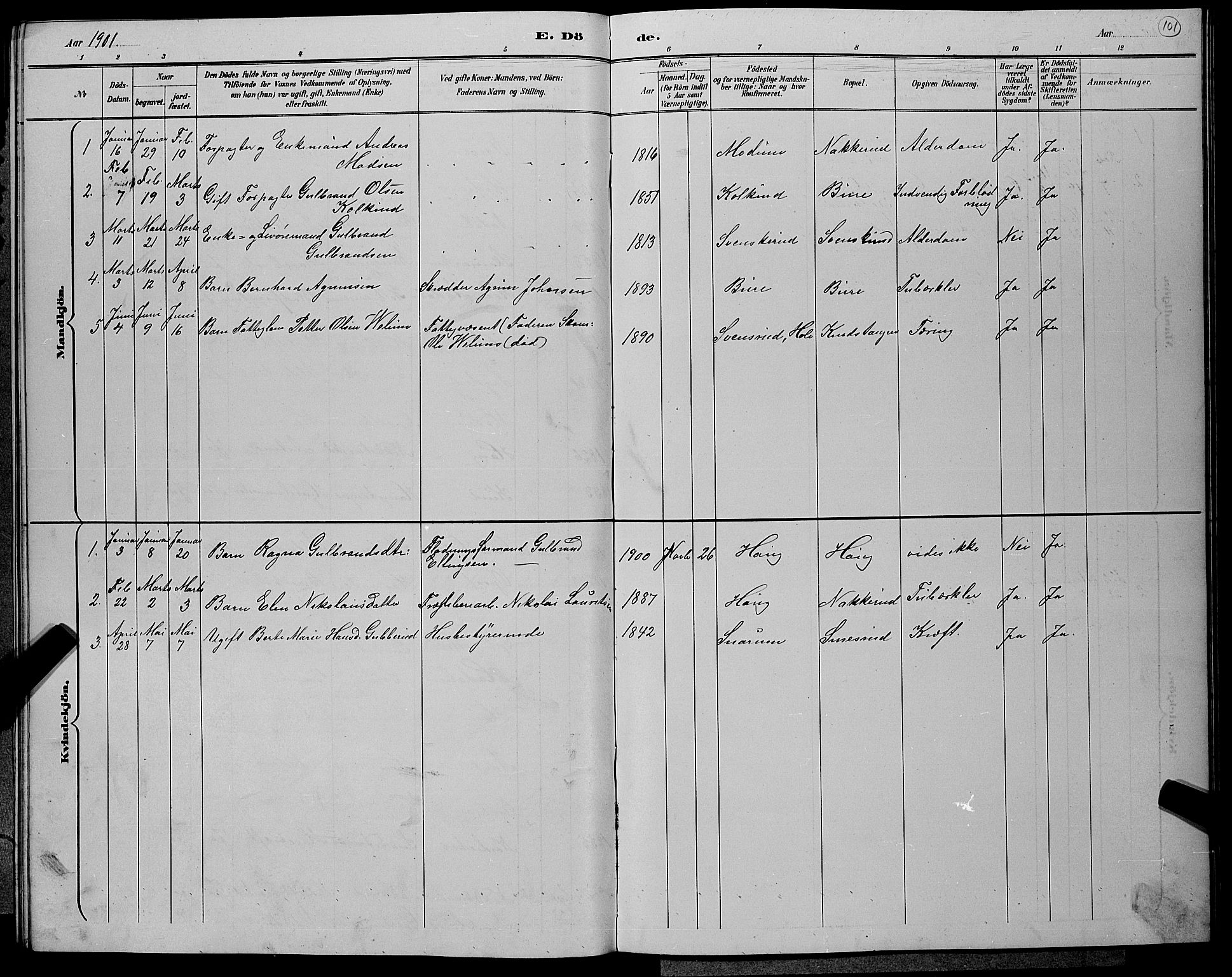 Hole kirkebøker, SAKO/A-228/G/Gb/L0003: Parish register (copy) no. II 3, 1890-1901, p. 101