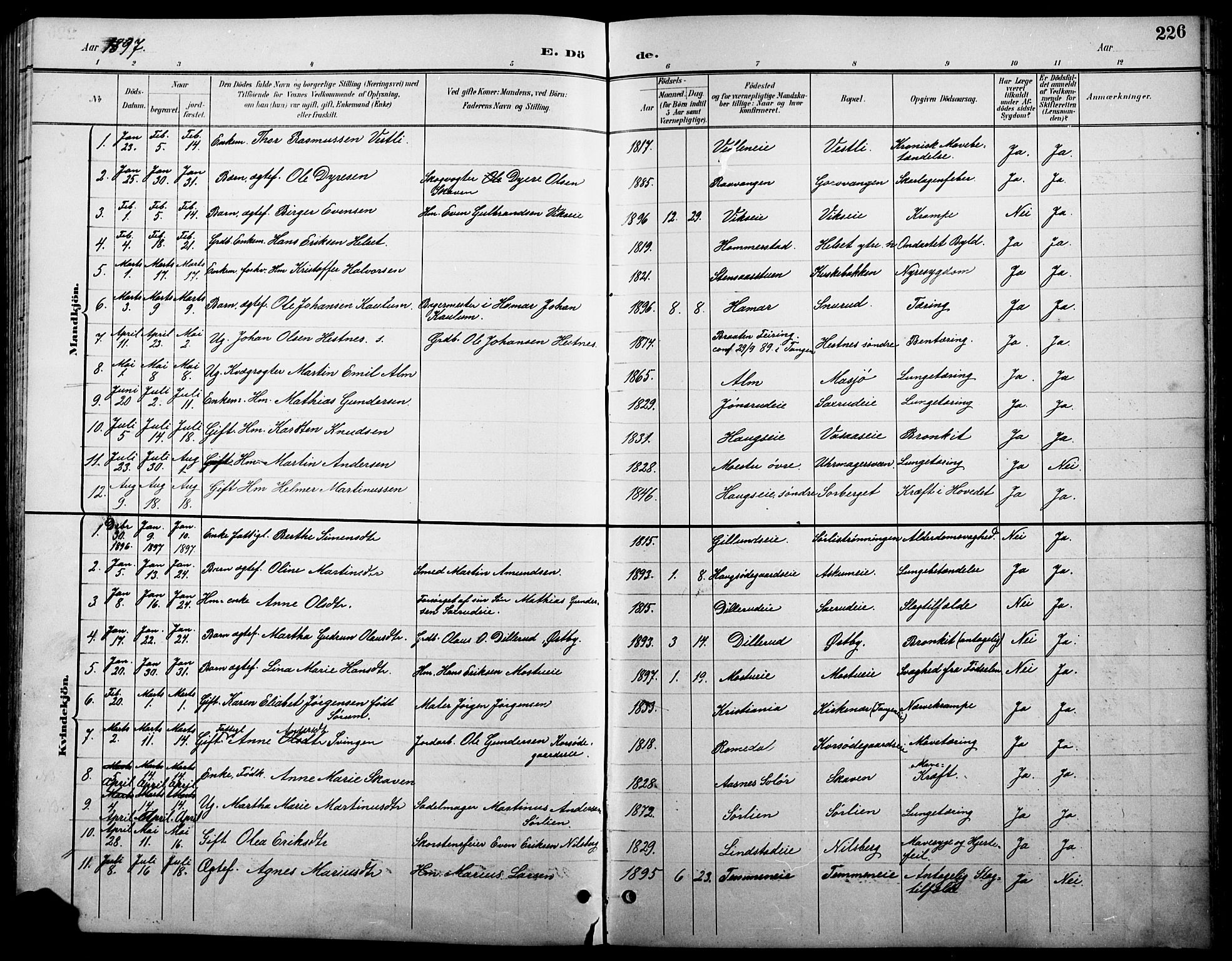 Stange prestekontor, SAH/PREST-002/L/L0011: Parish register (copy) no. 11, 1895-1917, p. 226