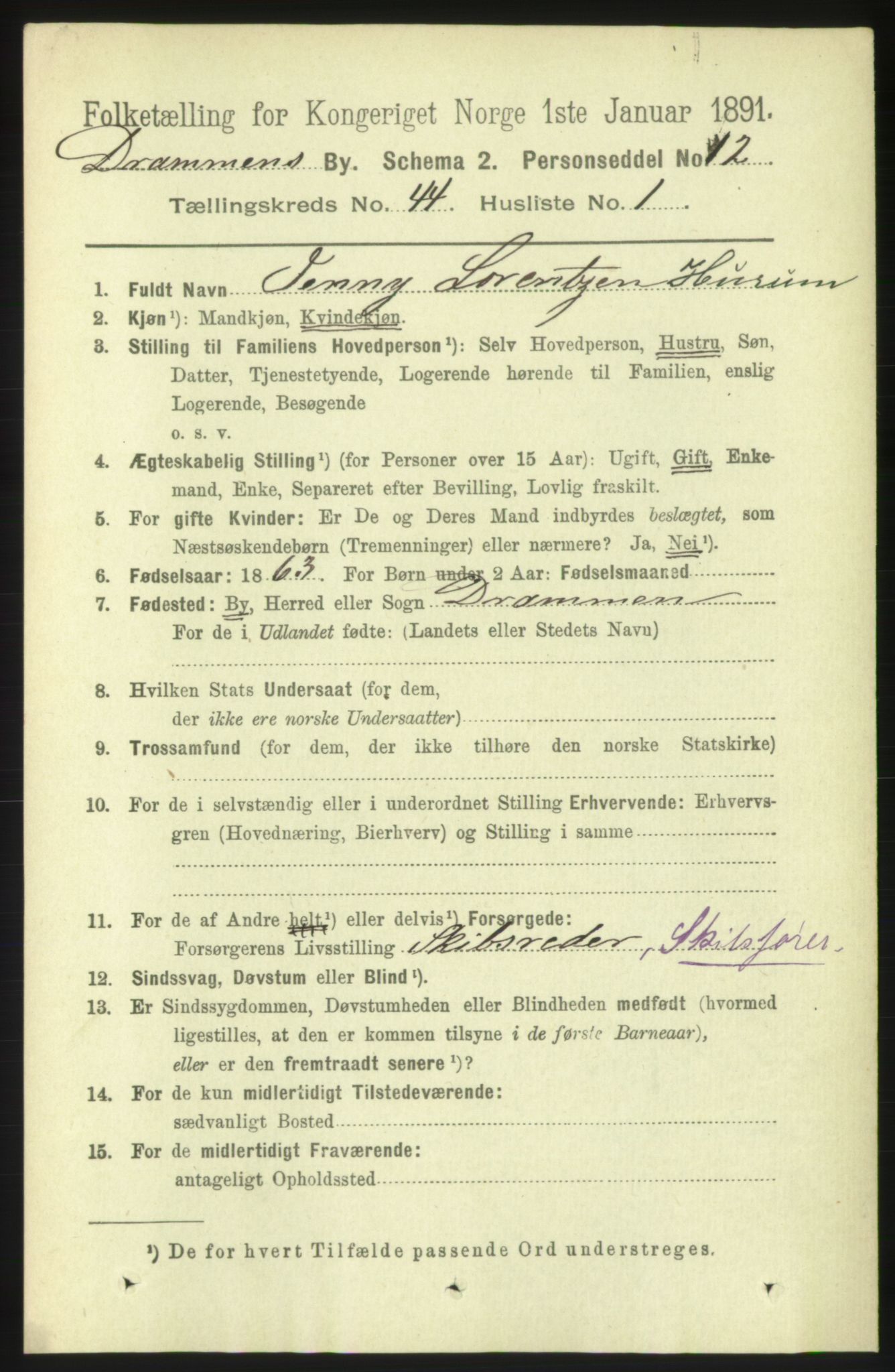 RA, 1891 census for 0602 Drammen, 1891, p. 25407