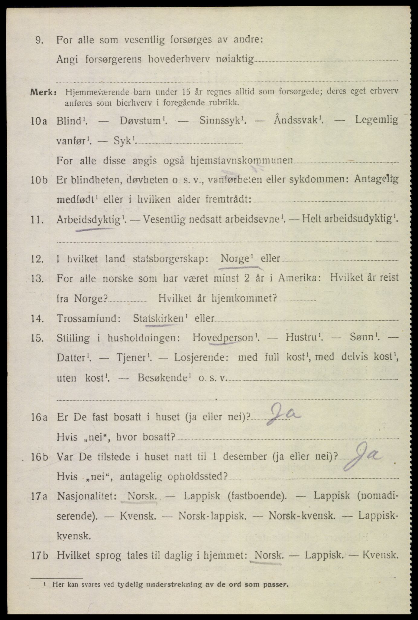 SAT, 1920 census for Bø, 1920, p. 8515