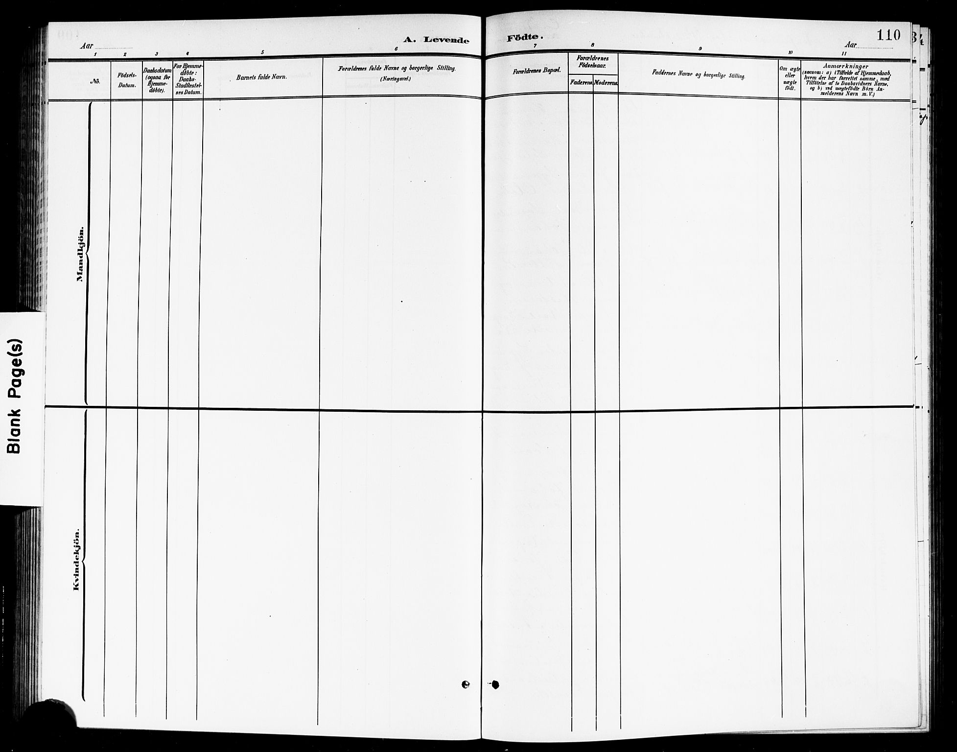 Høland prestekontor Kirkebøker, AV/SAO-A-10346a/G/Ga/L0007: Parish register (copy) no. I 7, 1902-1914, p. 110